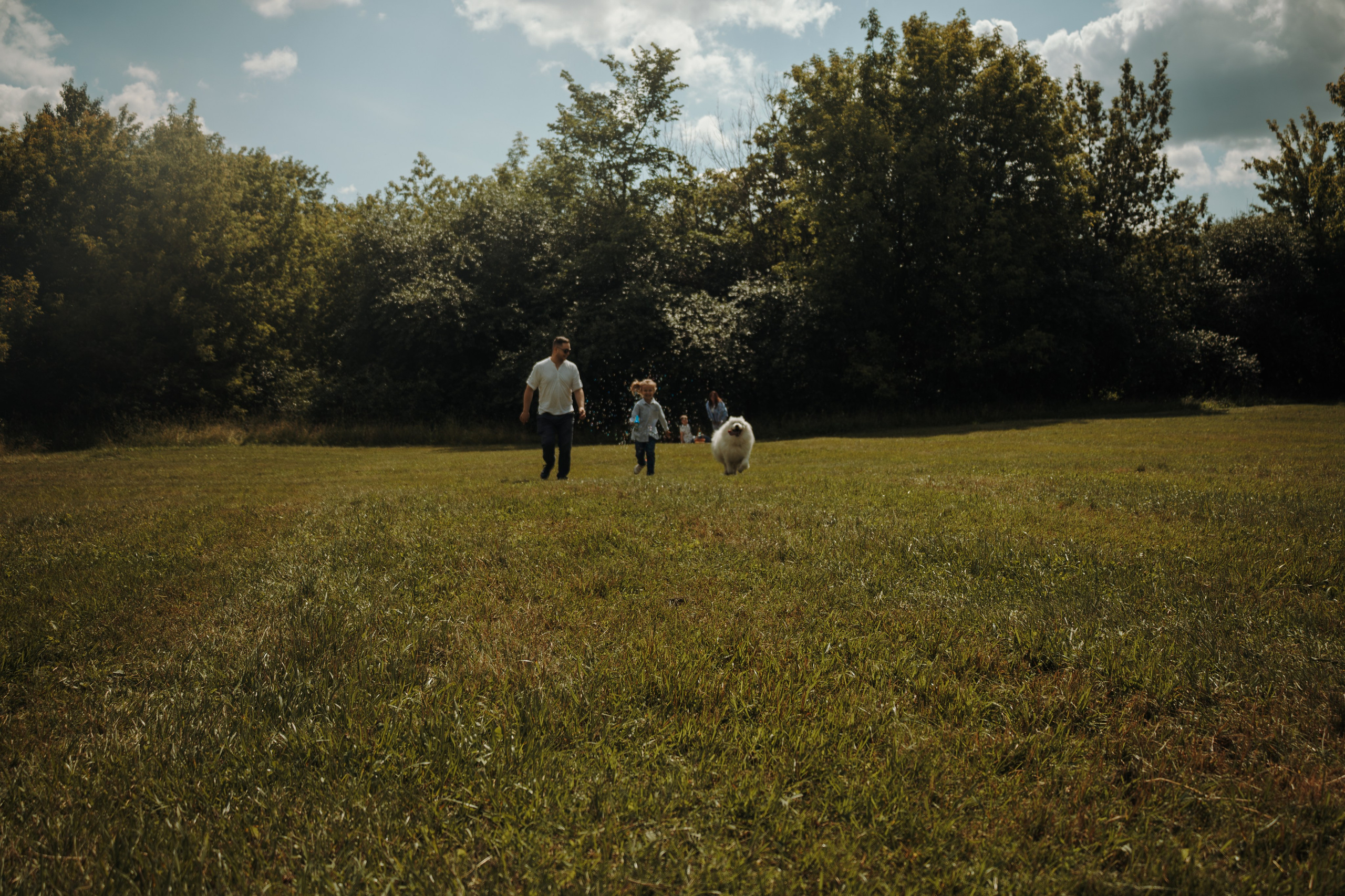 Семейная фотосессия с собаками в парке. Фотограф-анималист в Москве Екатерина Тихонова