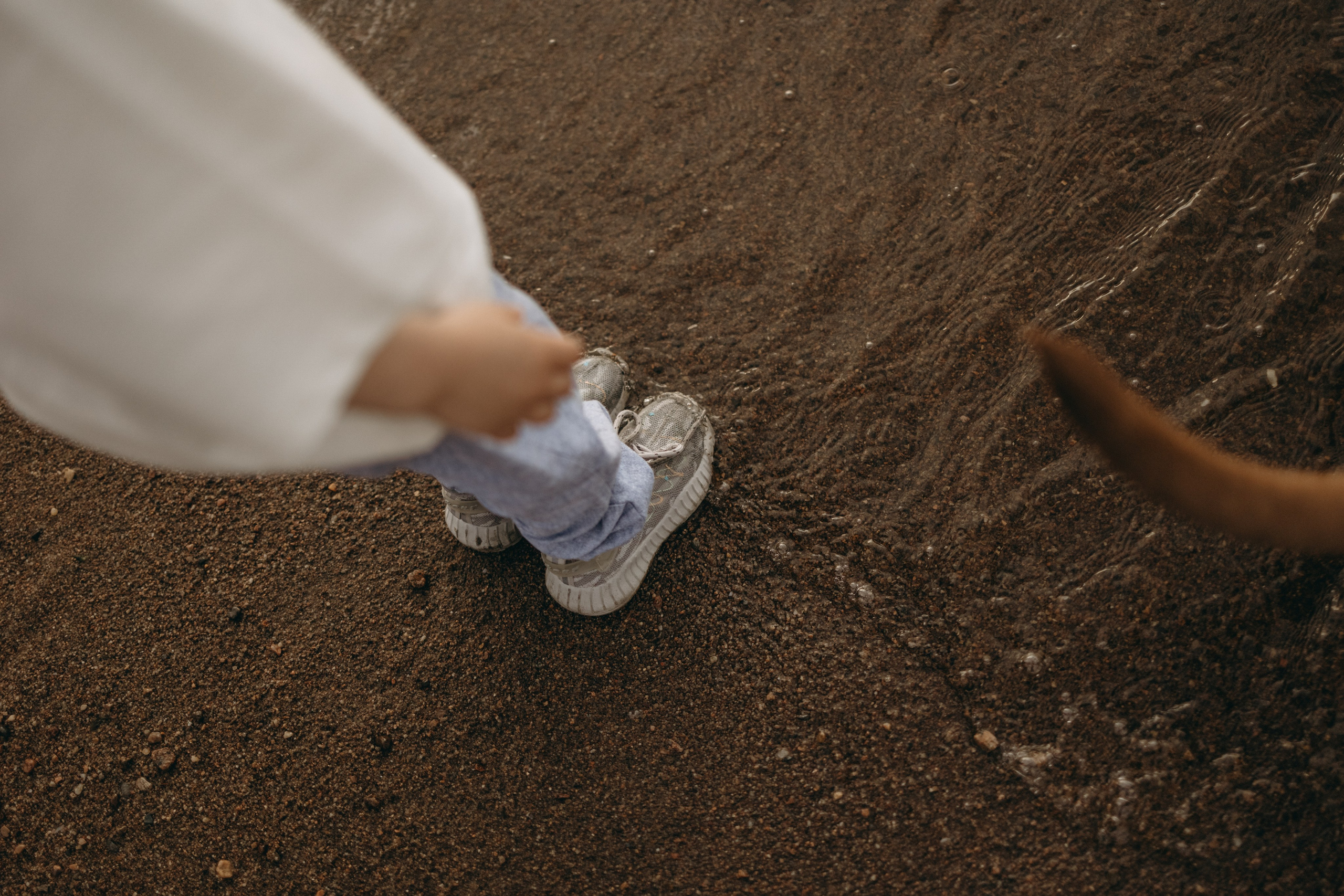 Бонни и ее семья. Фотограф — Анималист | Санкт-Петербург