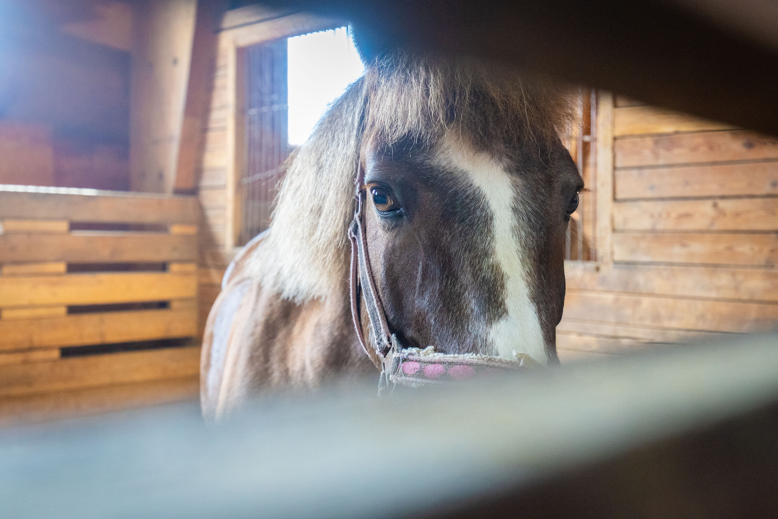 Репортаж. Фотограф Ханты-Мансийск Тимофей Чеботин