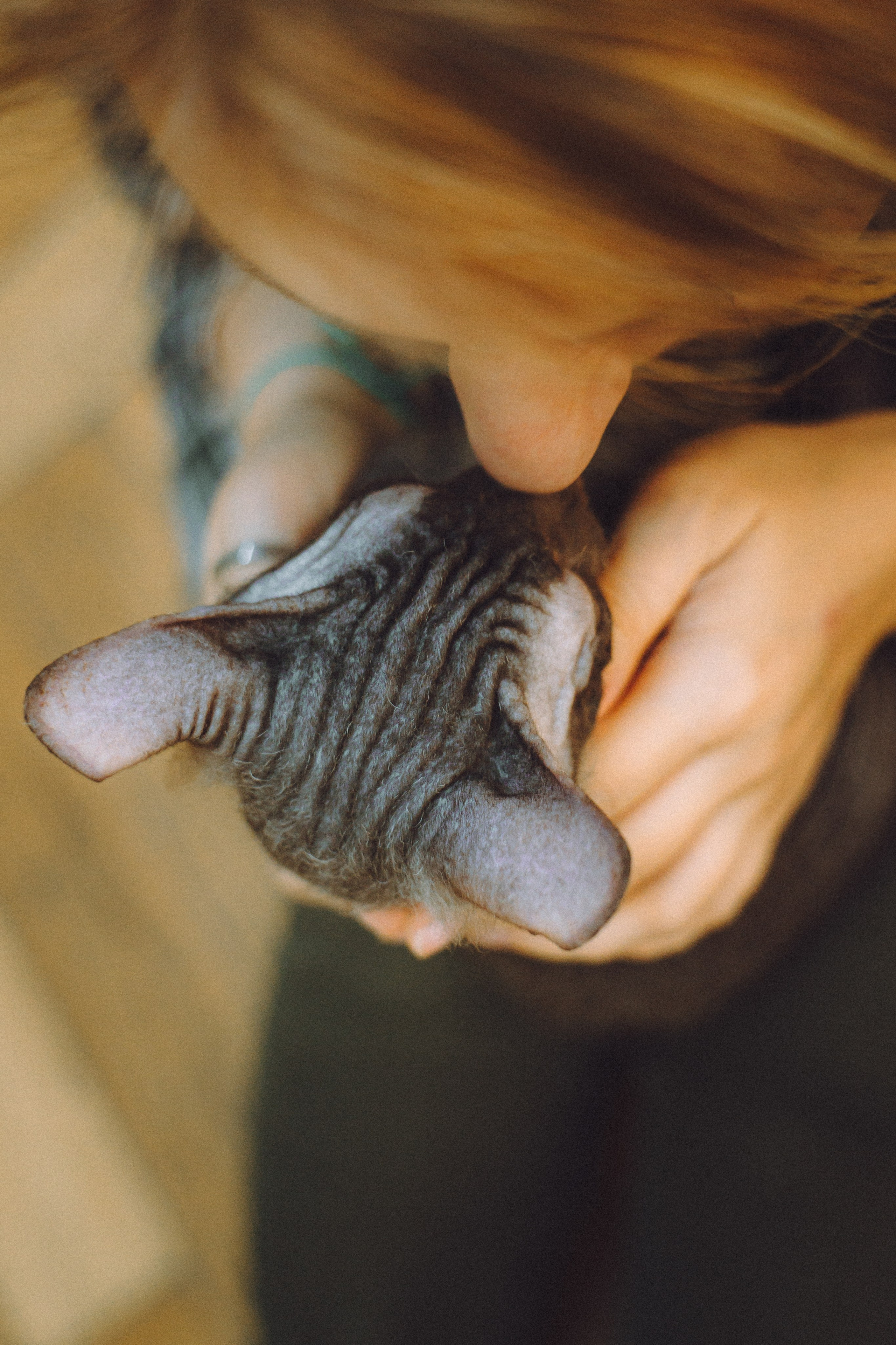 Кокос, Света, Динара и Вилли