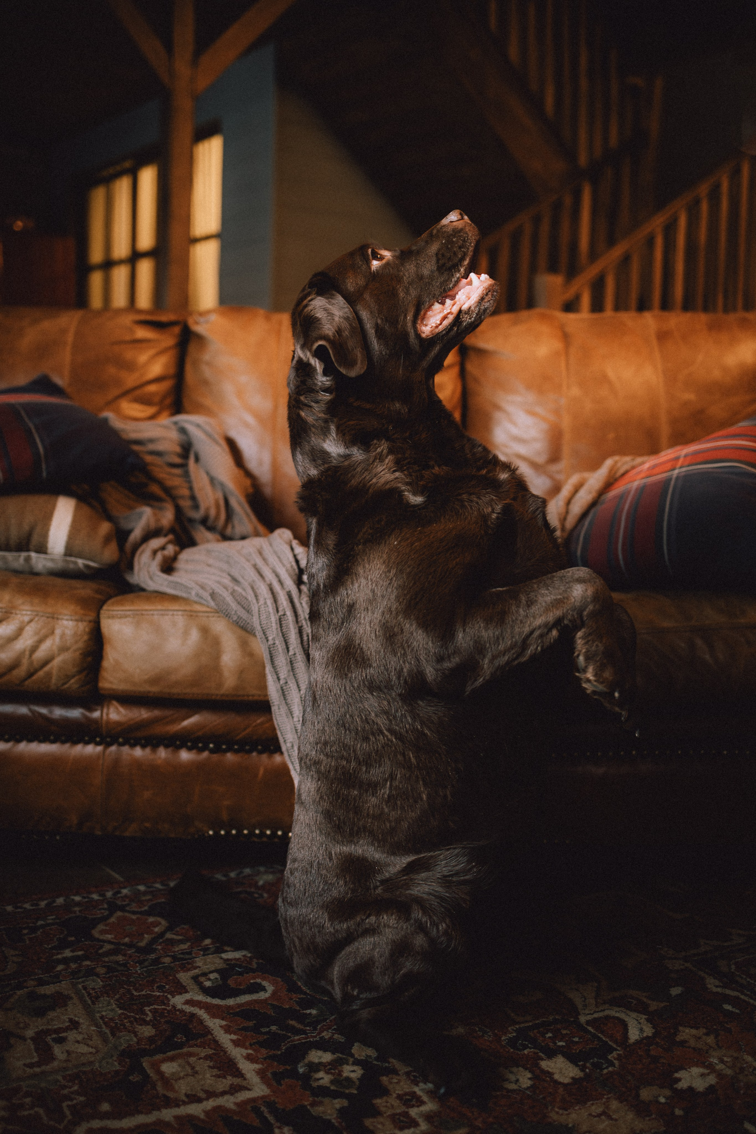 Ума, Берта и их семья