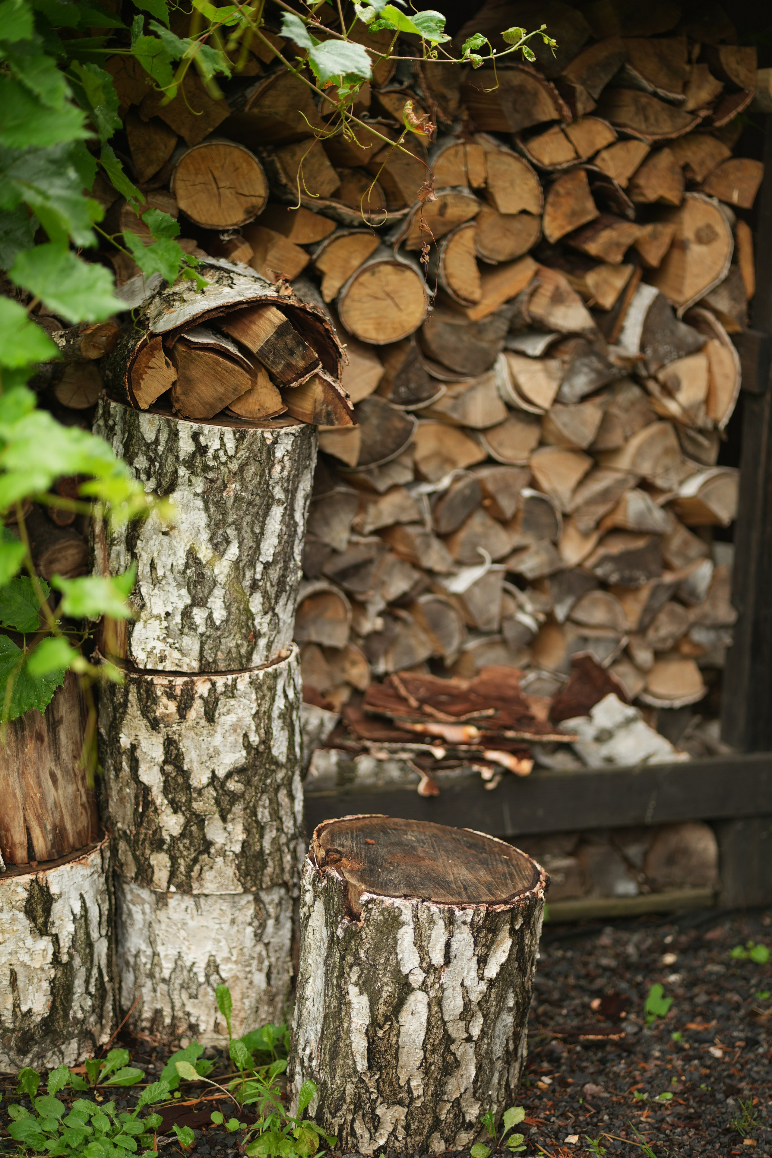 Час 1500 пример фотосессии пакет «ФОТО НА ПАМЯТЬ» (без обработки). Фотограф Нижний Новгород Татьяна Кэйод