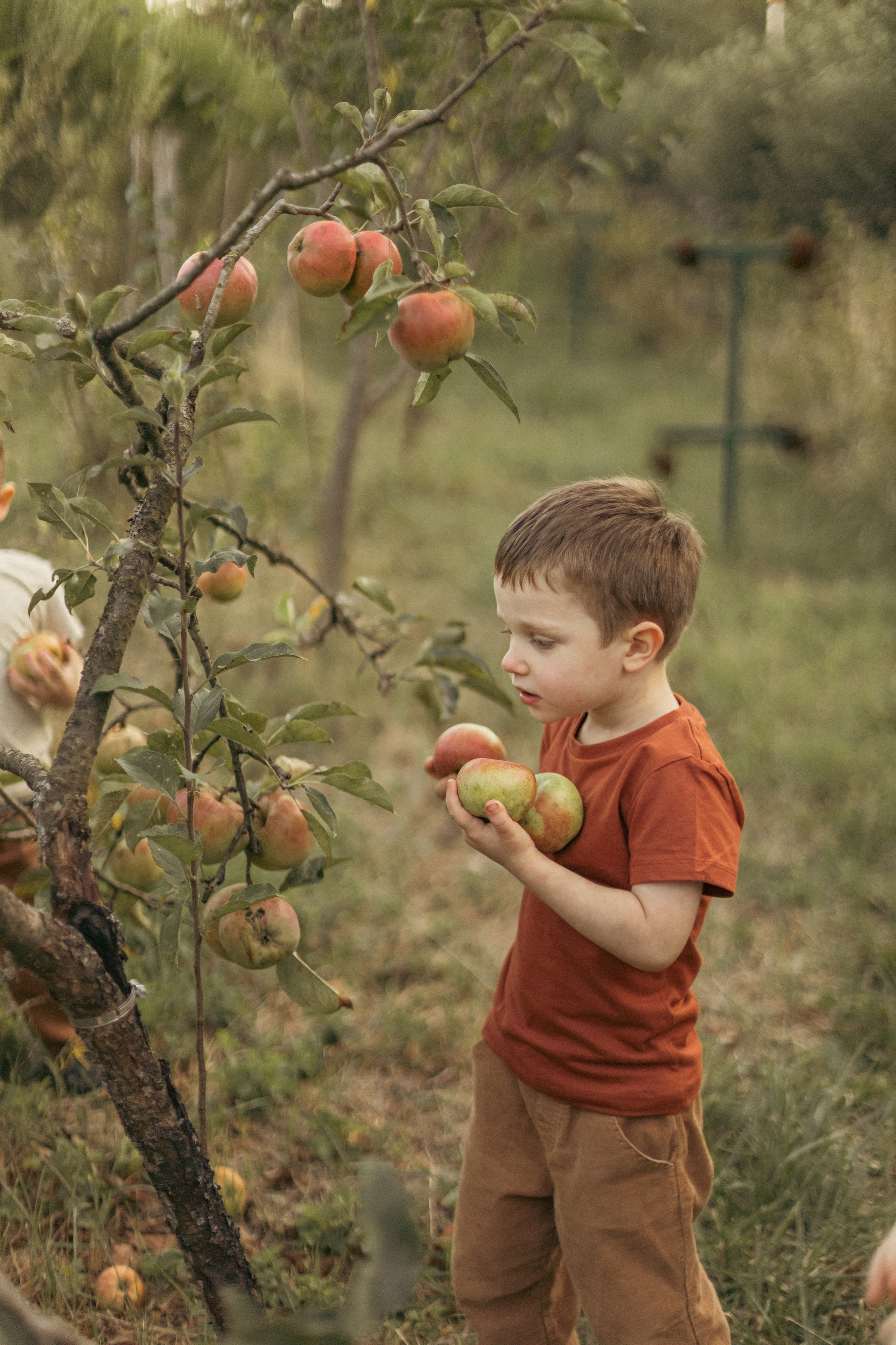 На ферме с овечками. Фотограф из Краснодара Мария Приходько