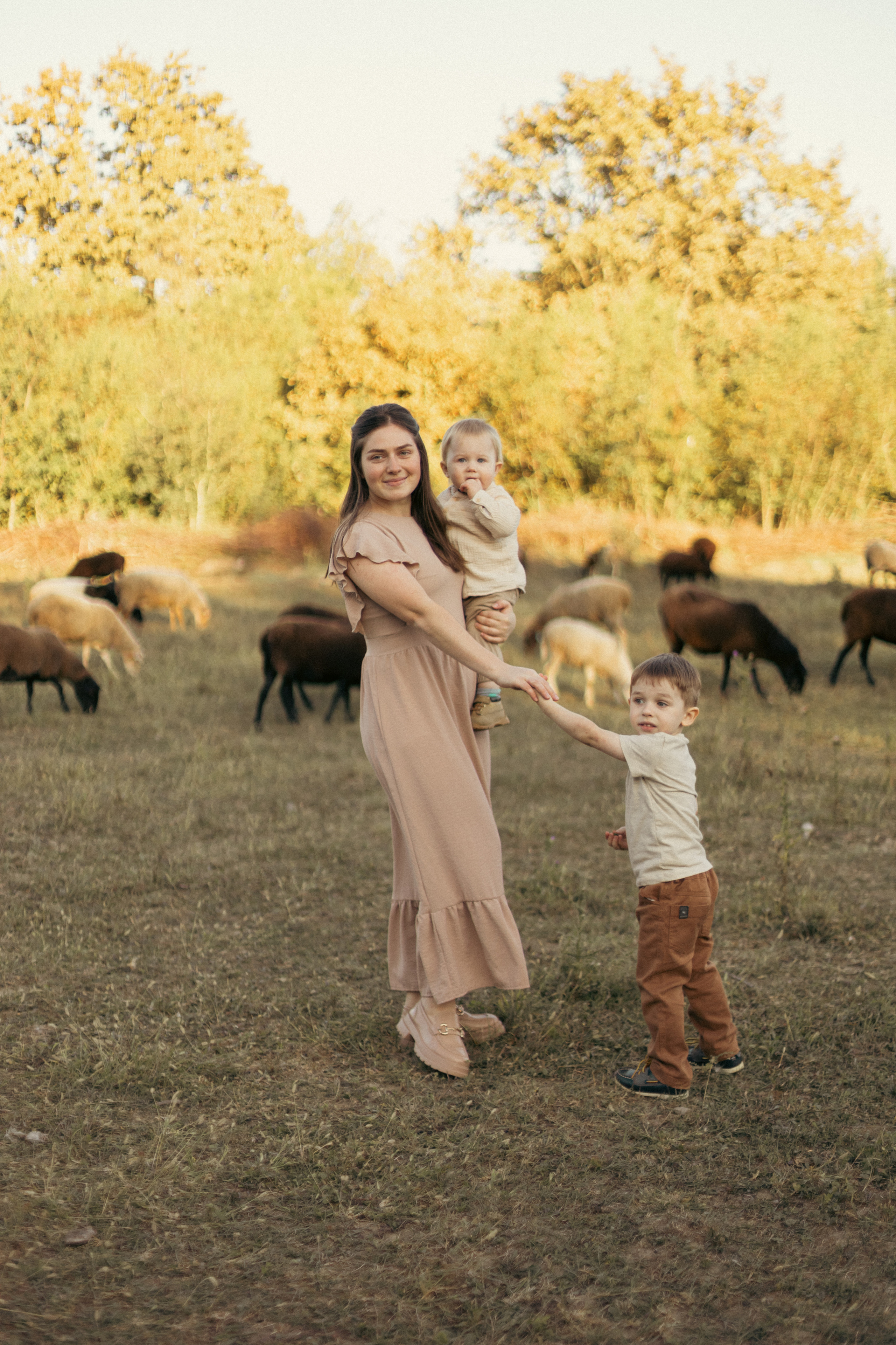 На ферме с овечками. Фотограф из Краснодара Мария Приходько