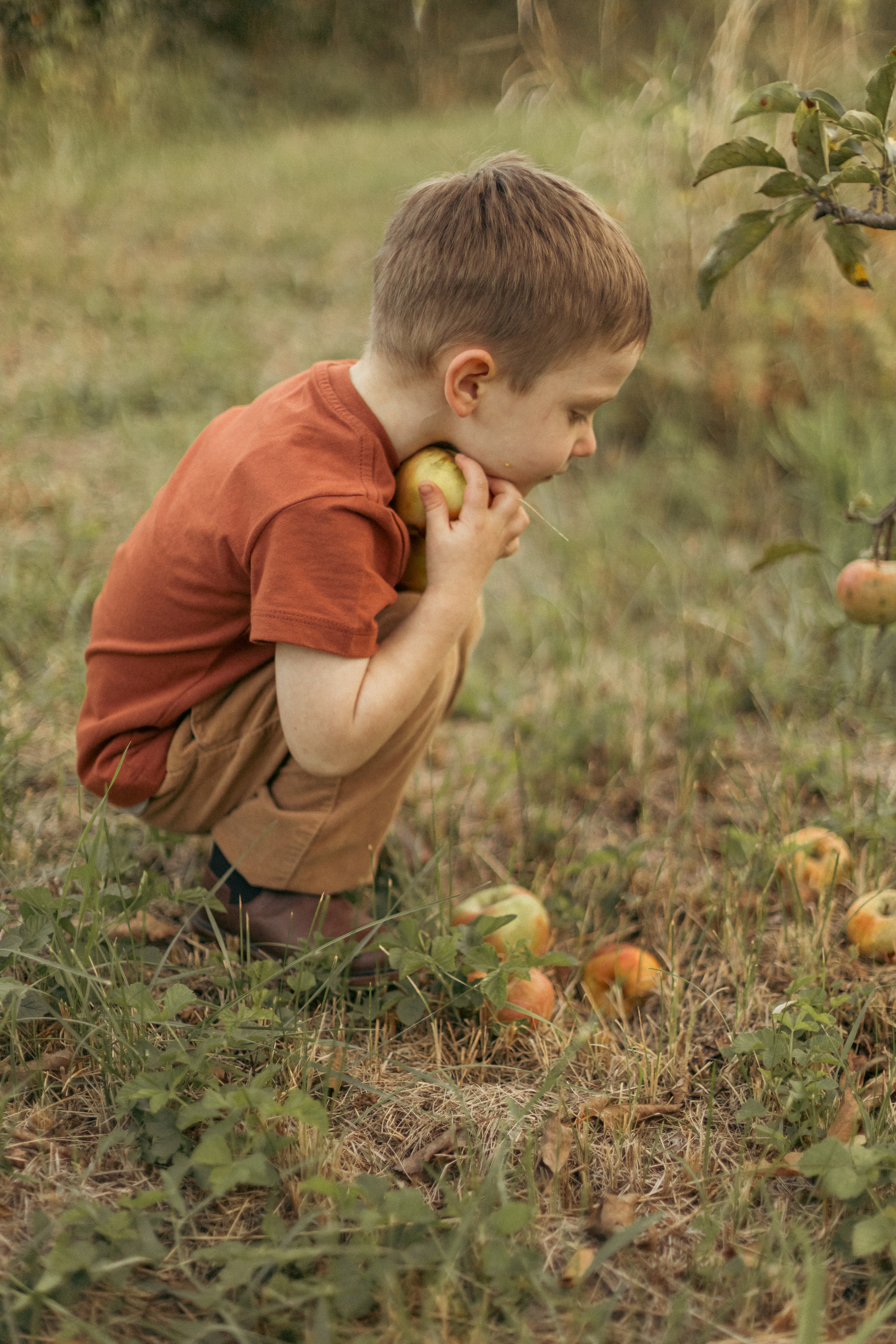 На ферме с овечками. Фотограф из Краснодара Мария Приходько