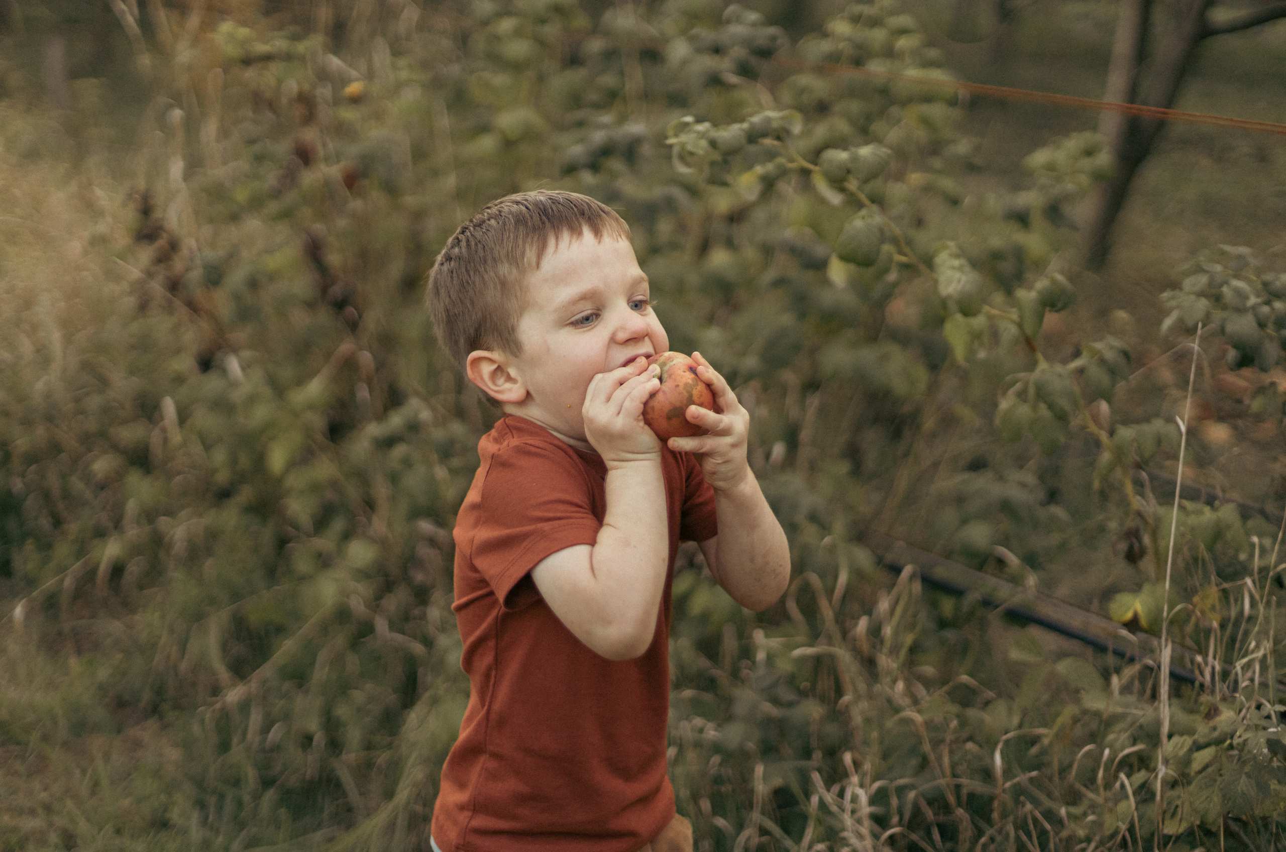На ферме с овечками. Фотограф из Краснодара Мария Приходько