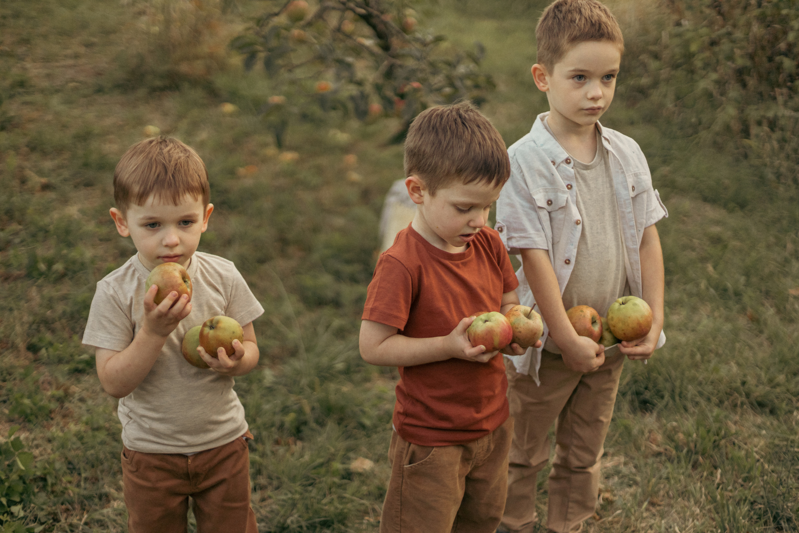 На ферме с овечками. Фотограф из Краснодара Мария Приходько