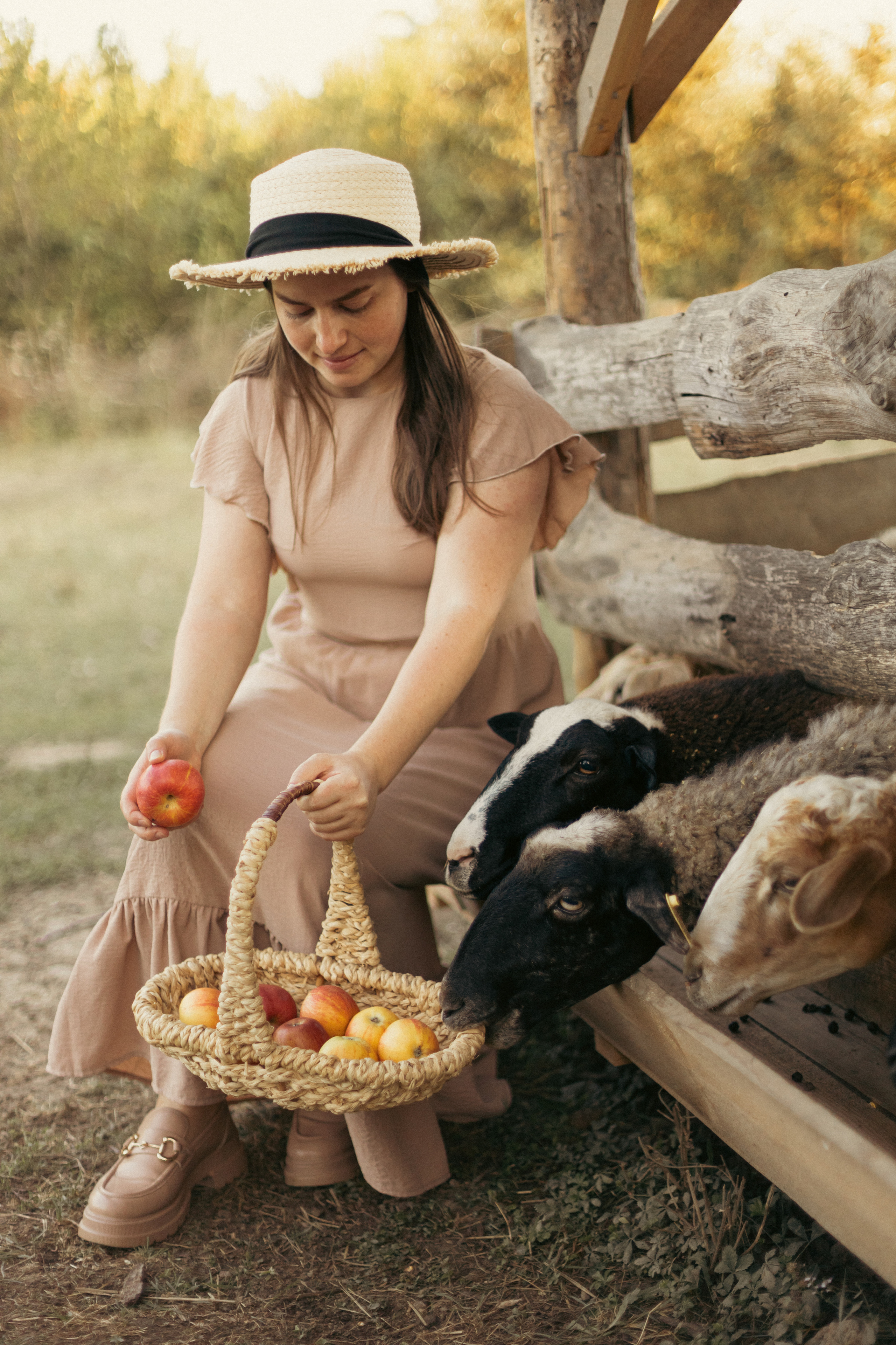 На ферме с овечками. Фотограф из Краснодара Мария Приходько