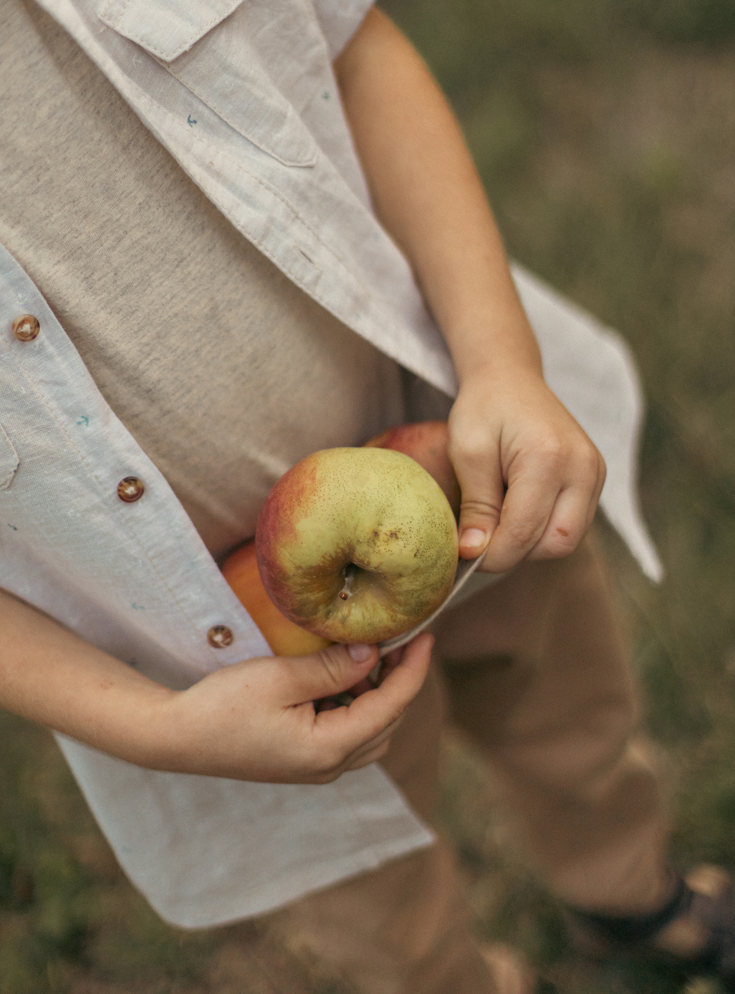 На ферме с овечками. Фотограф из Краснодара Мария Приходько