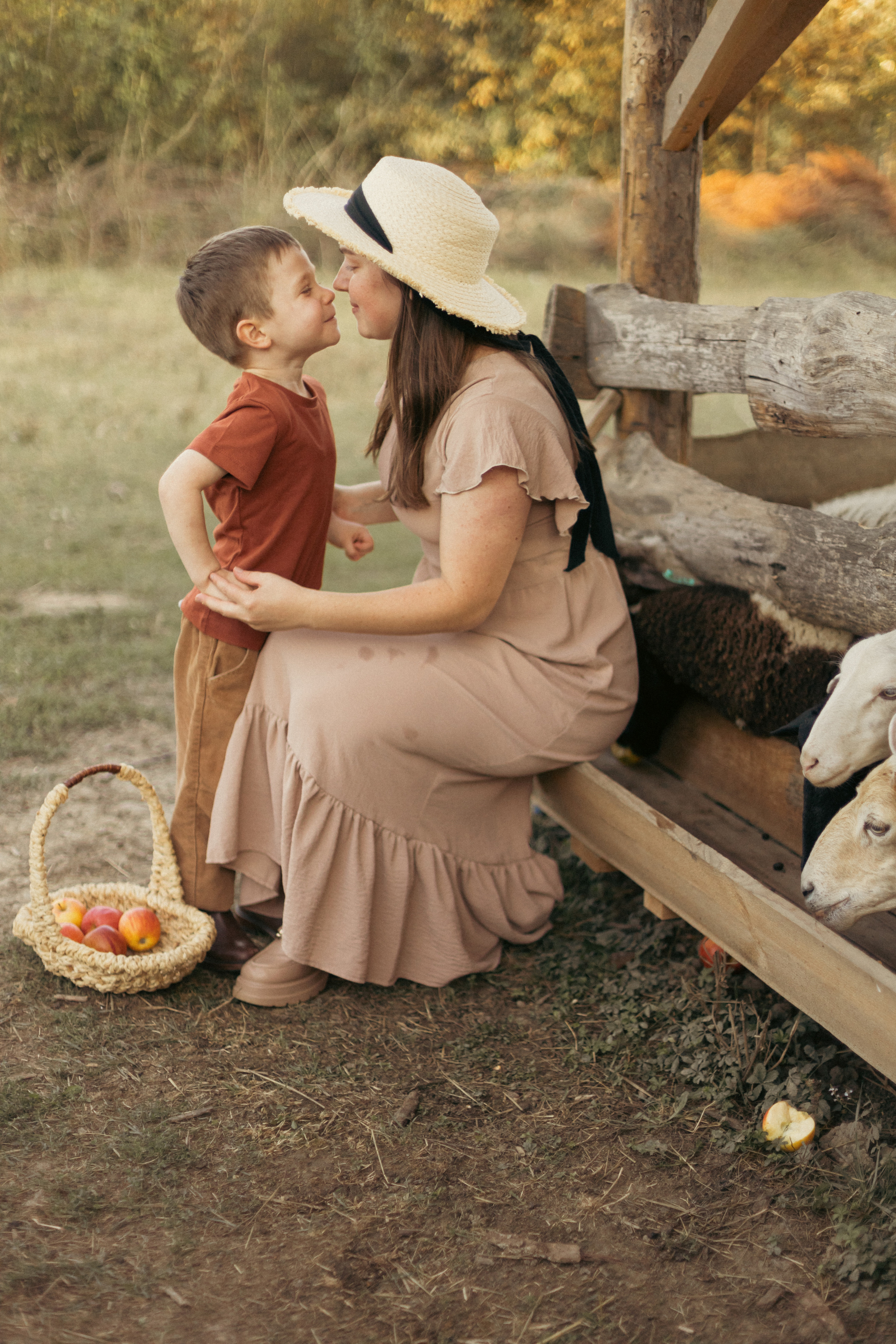 На ферме с овечками. Фотограф из Краснодара Мария Приходько