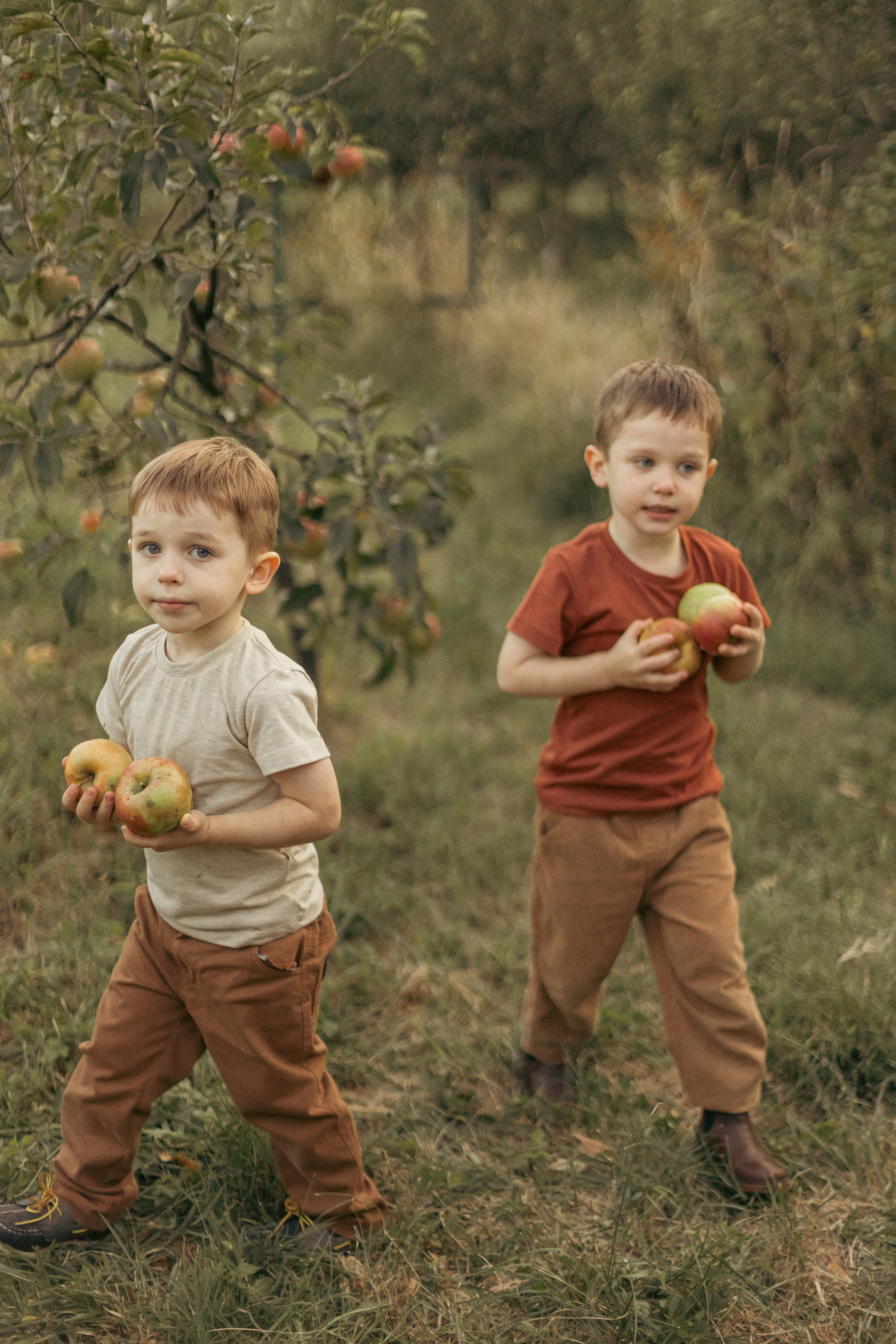 На ферме с овечками. Фотограф из Краснодара Мария Приходько