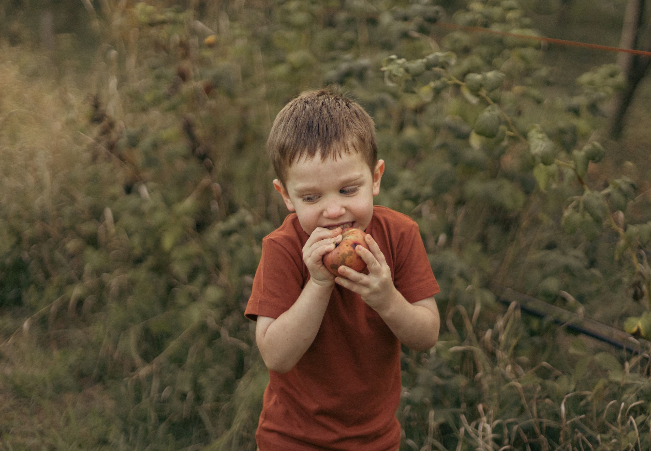 На ферме с овечками. Фотограф из Краснодара Мария Приходько
