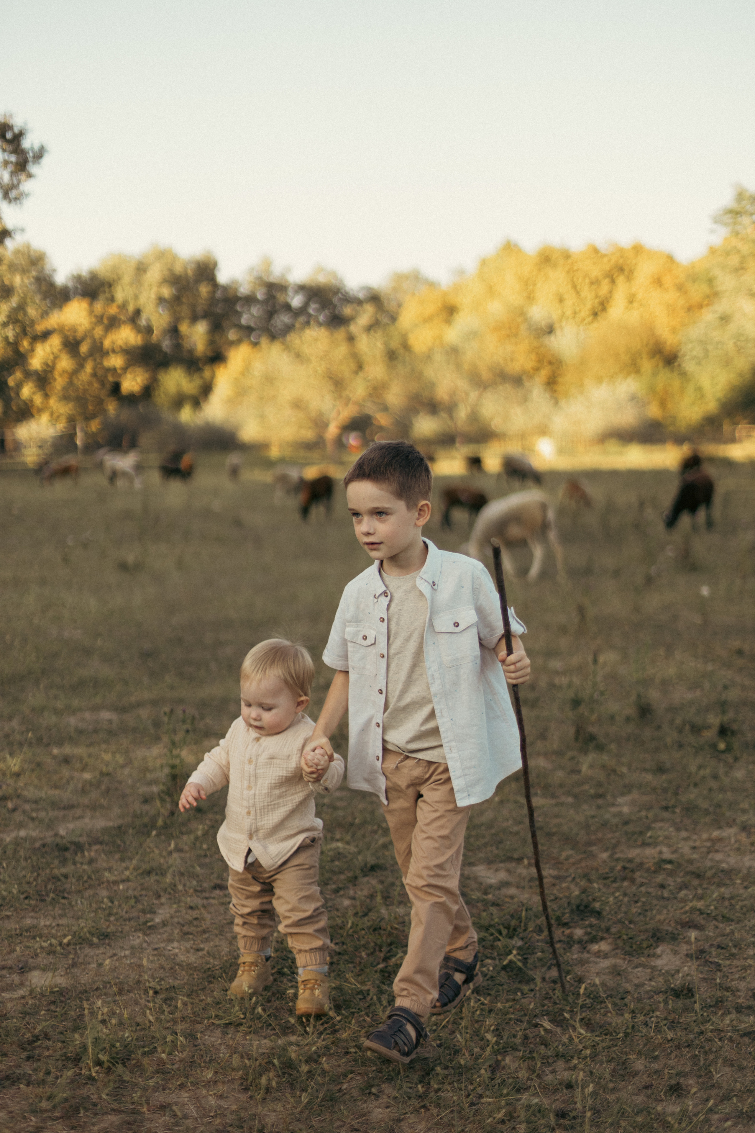 На ферме с овечками. Фотограф из Краснодара Мария Приходько