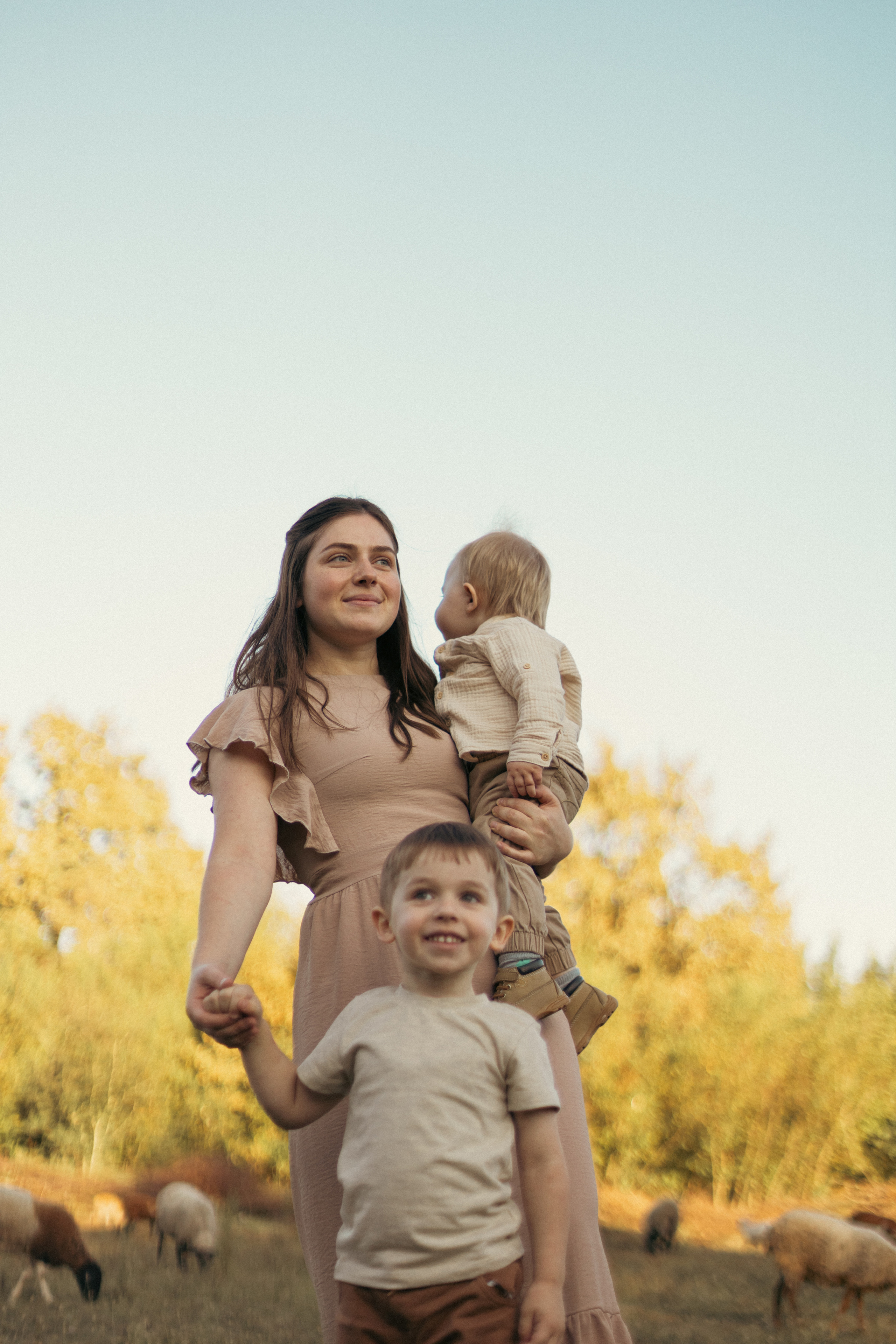 На ферме с овечками. Фотограф из Краснодара Мария Приходько