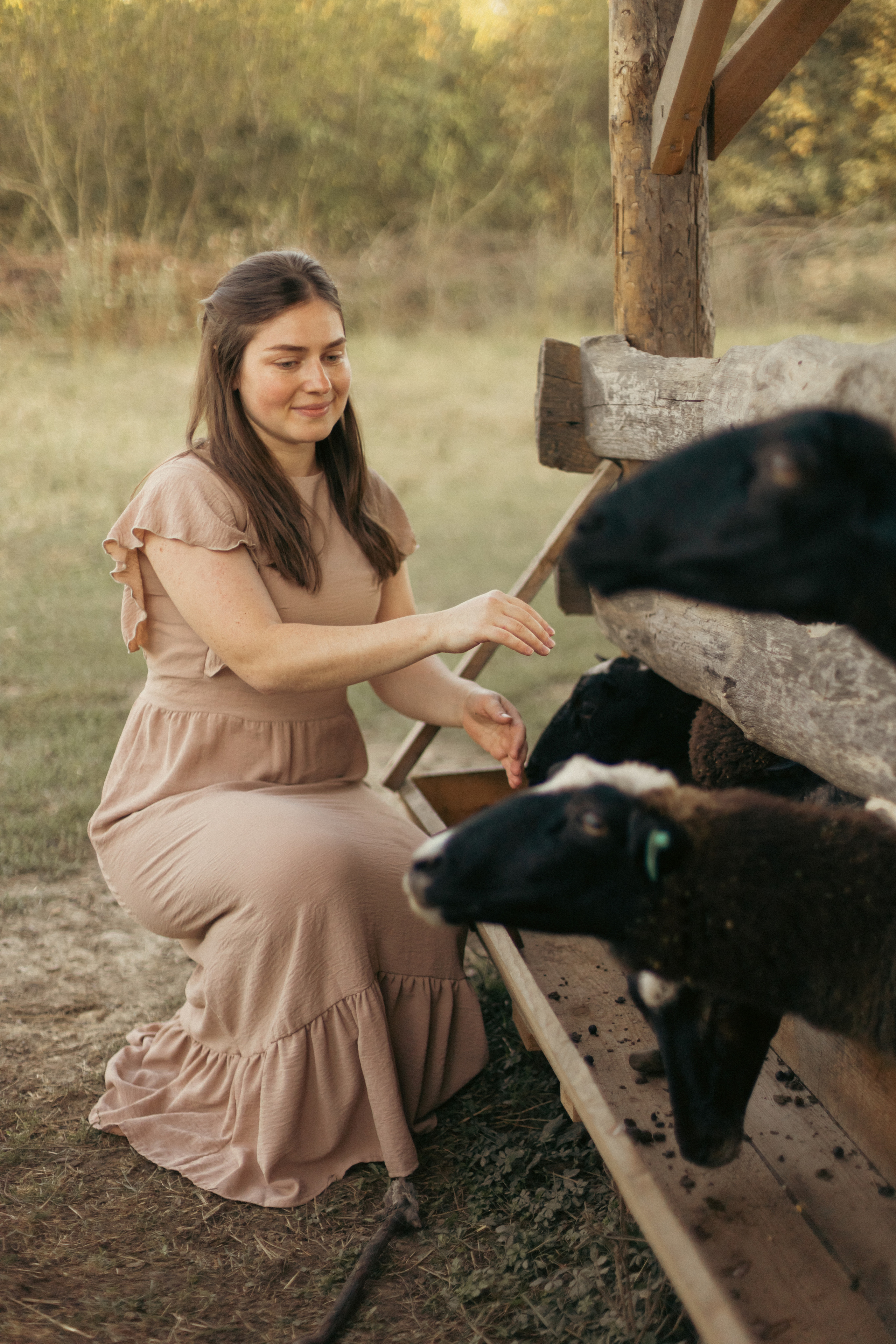 На ферме с овечками. Фотограф из Краснодара Мария Приходько