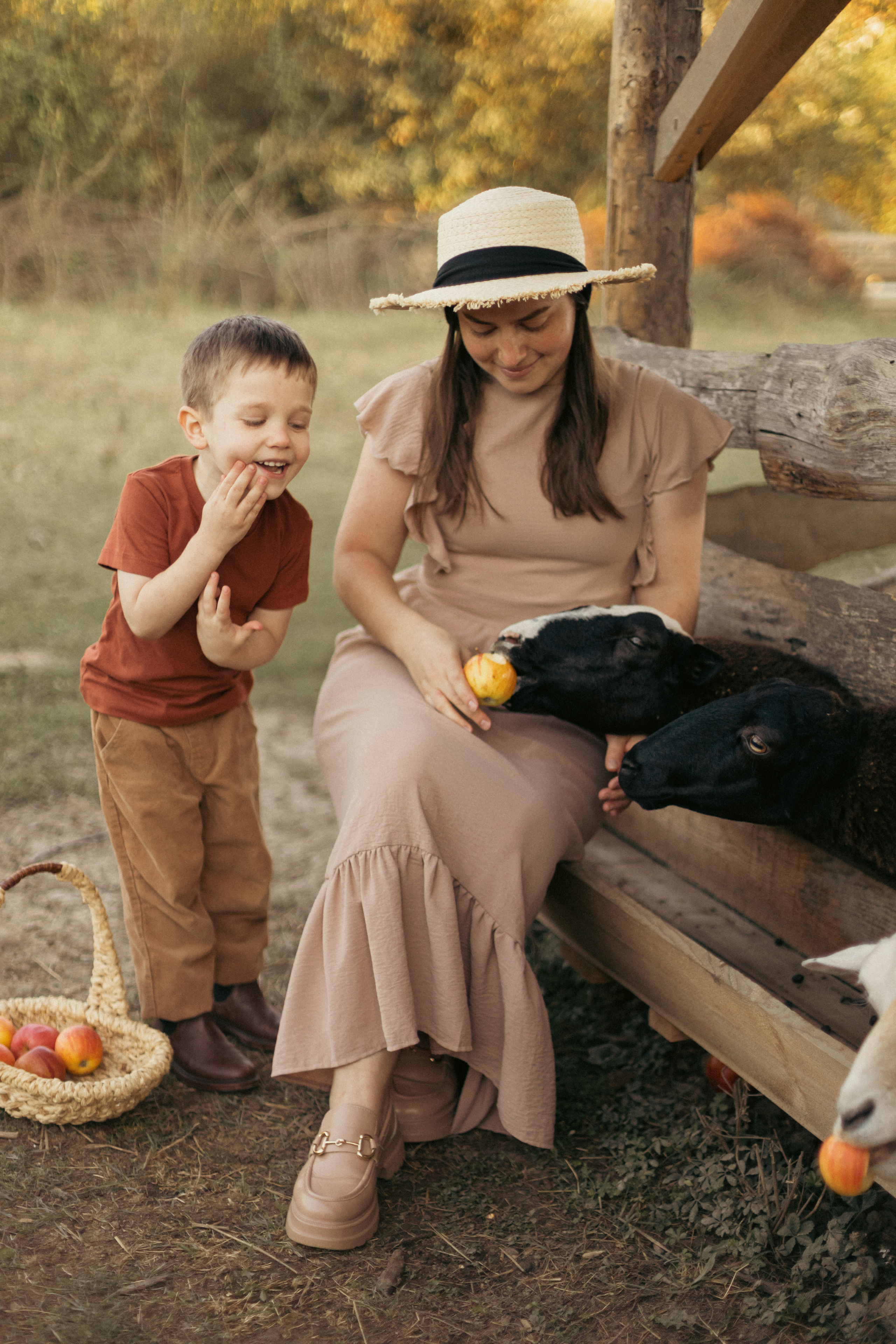 На ферме с овечками. Фотограф из Краснодара Мария Приходько