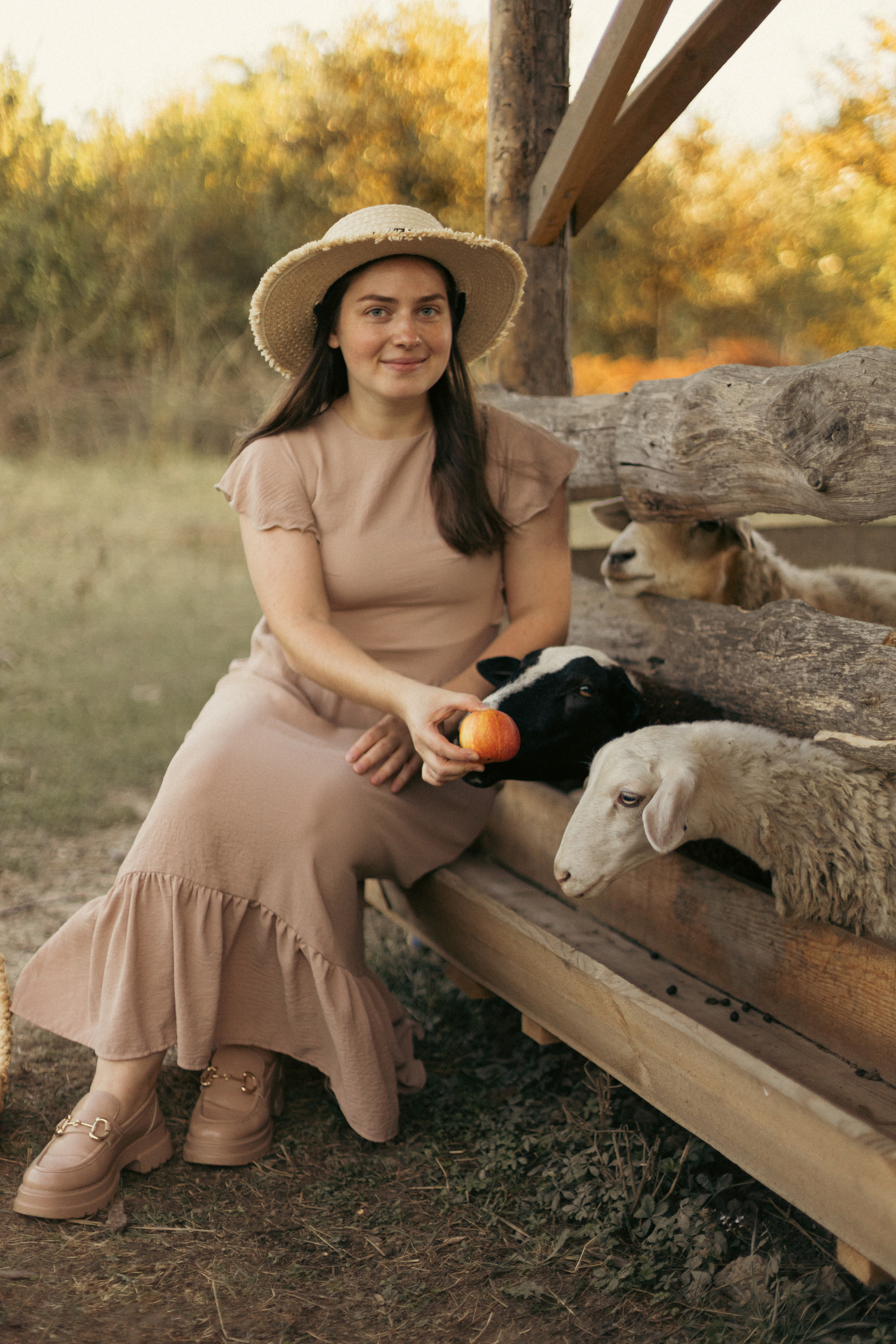 На ферме с овечками. Фотограф из Краснодара Мария Приходько