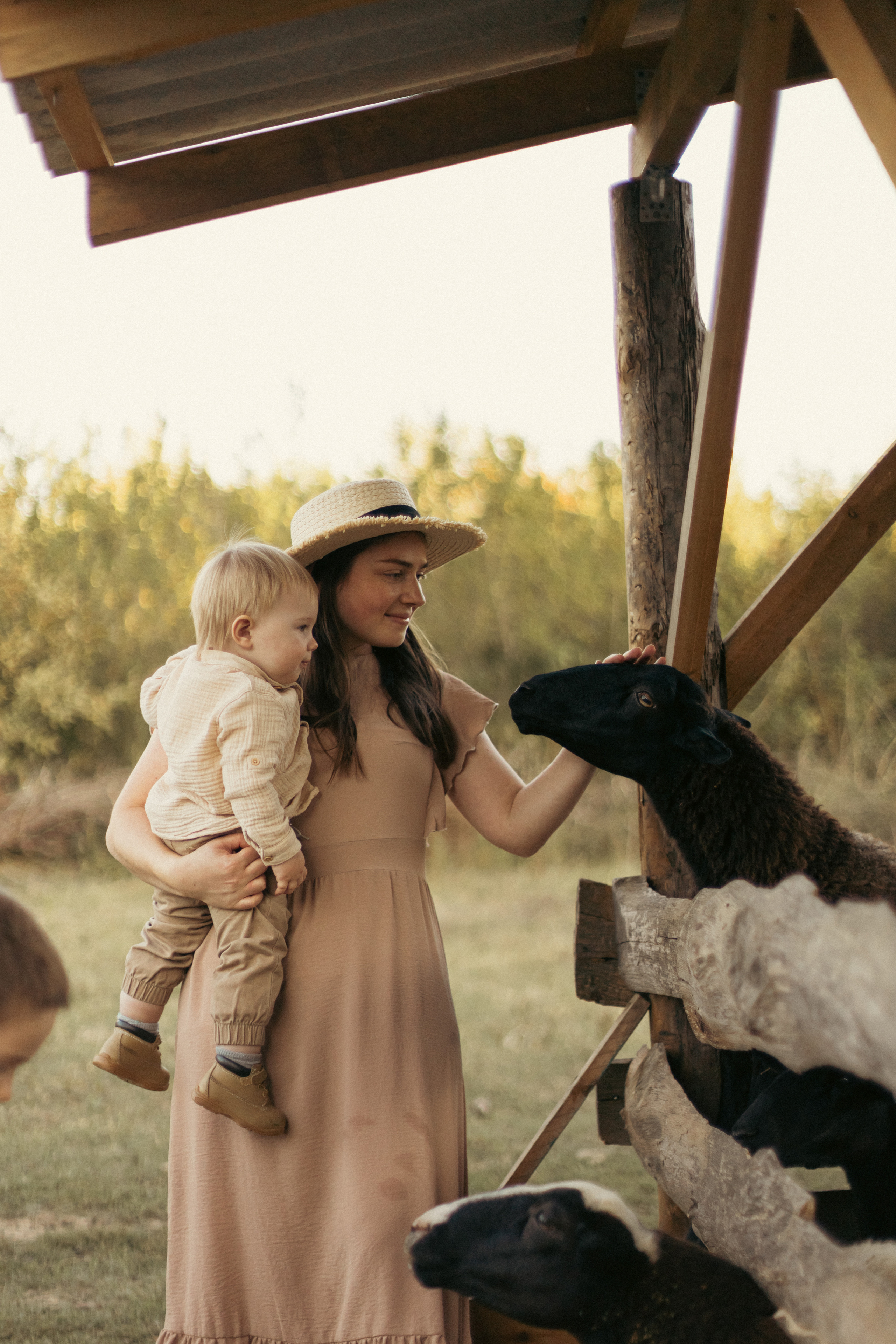 На ферме с овечками. Фотограф из Краснодара Мария Приходько