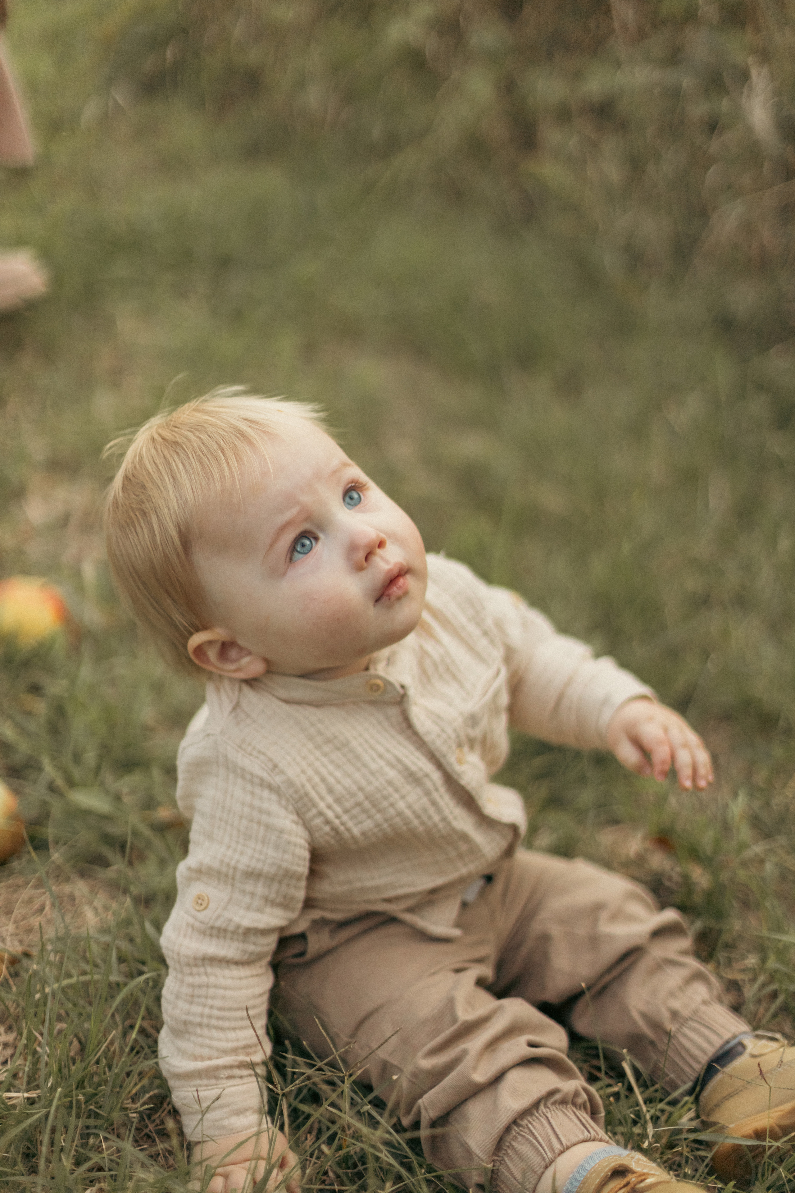 На ферме с овечками. Фотограф из Краснодара Мария Приходько