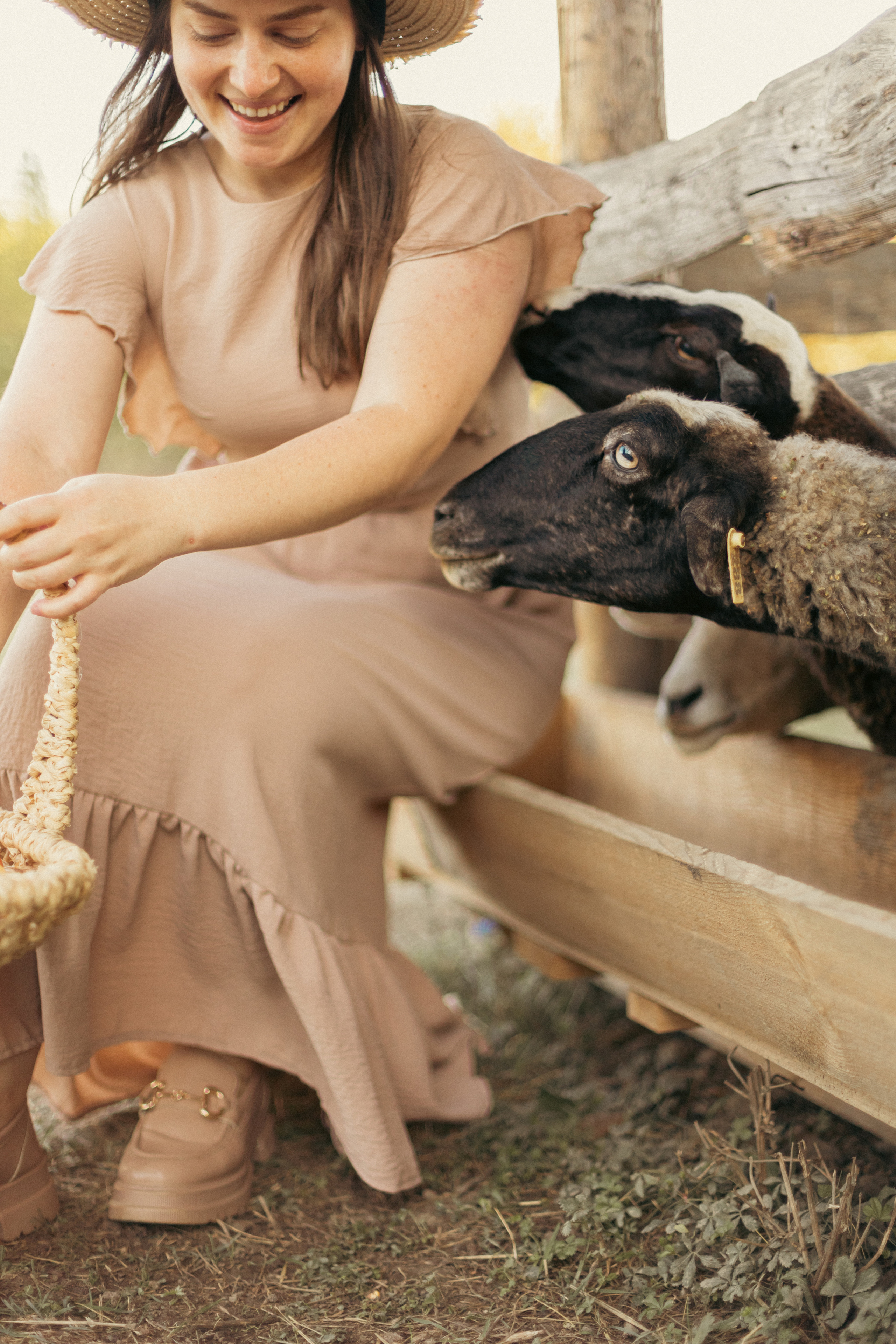 На ферме с овечками. Фотограф из Краснодара Мария Приходько
