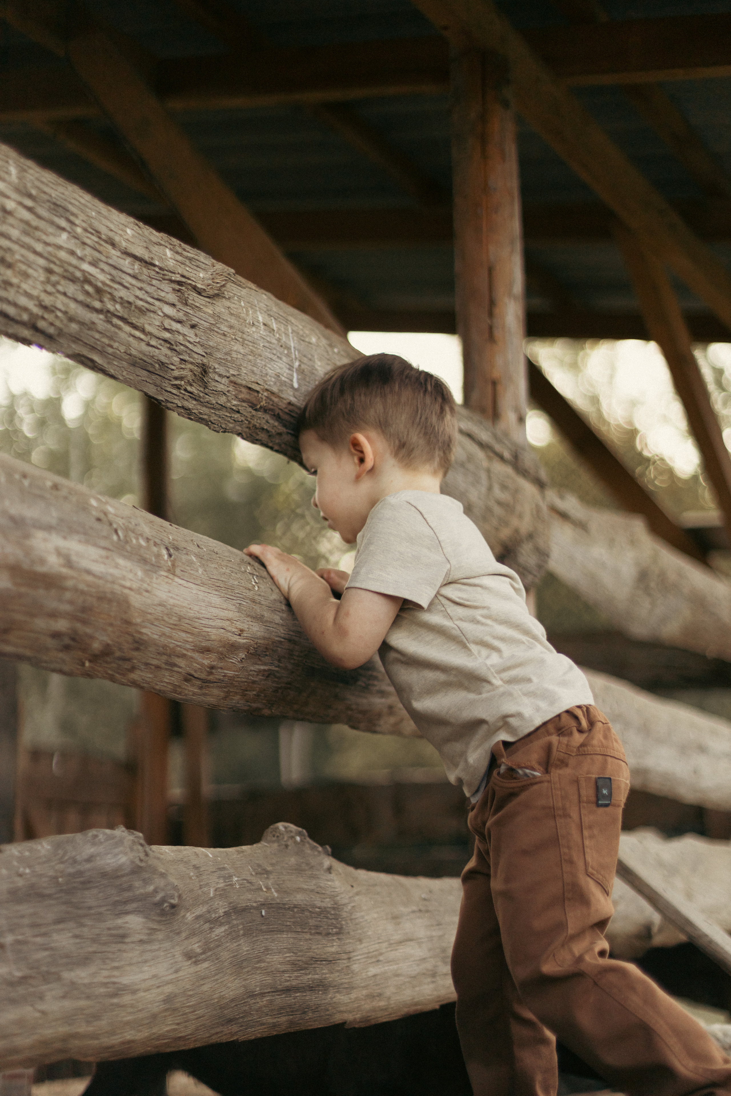 На ферме с овечками. Фотограф из Краснодара Мария Приходько