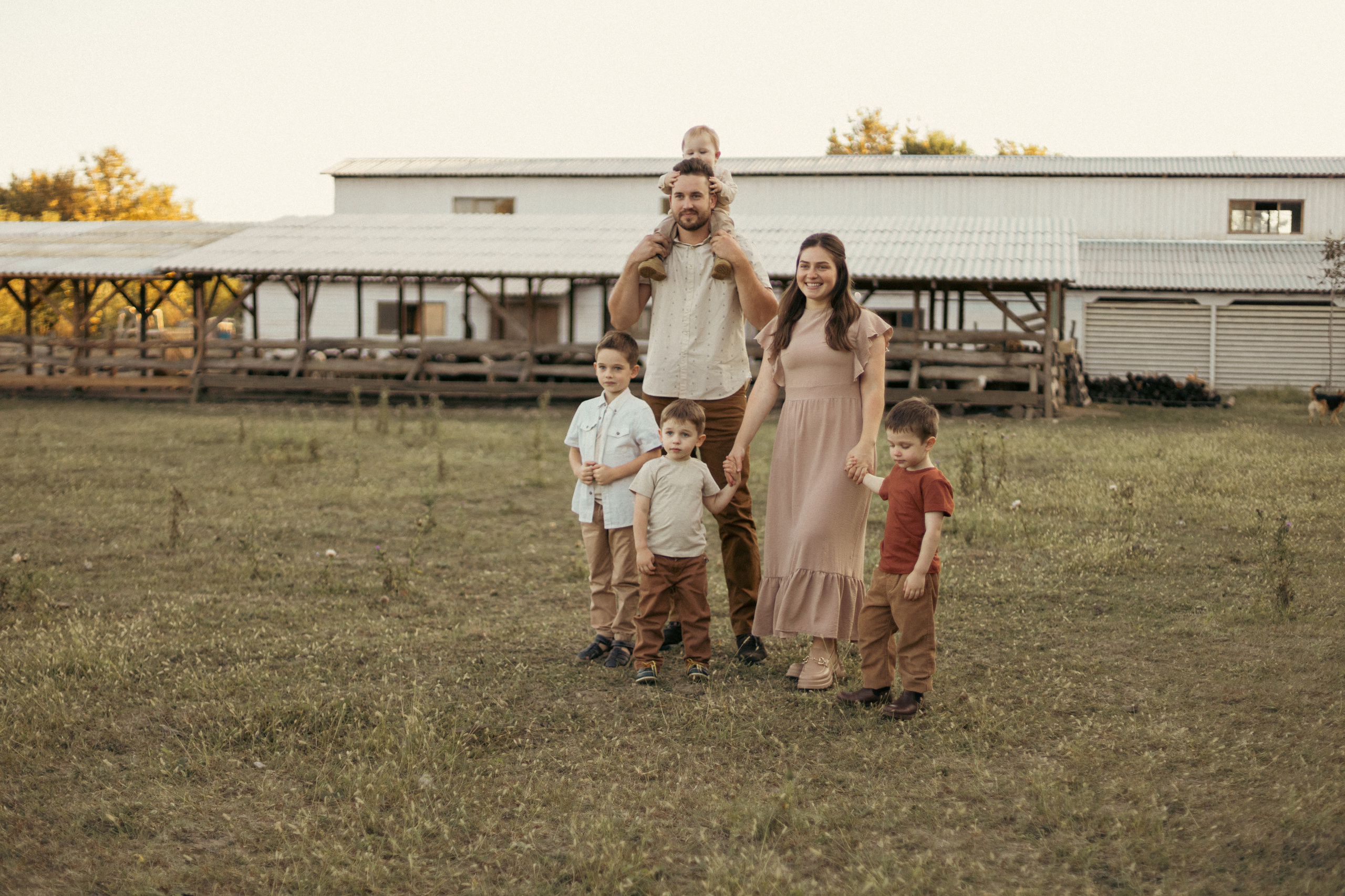 На ферме с овечками. Фотограф из Краснодара Мария Приходько