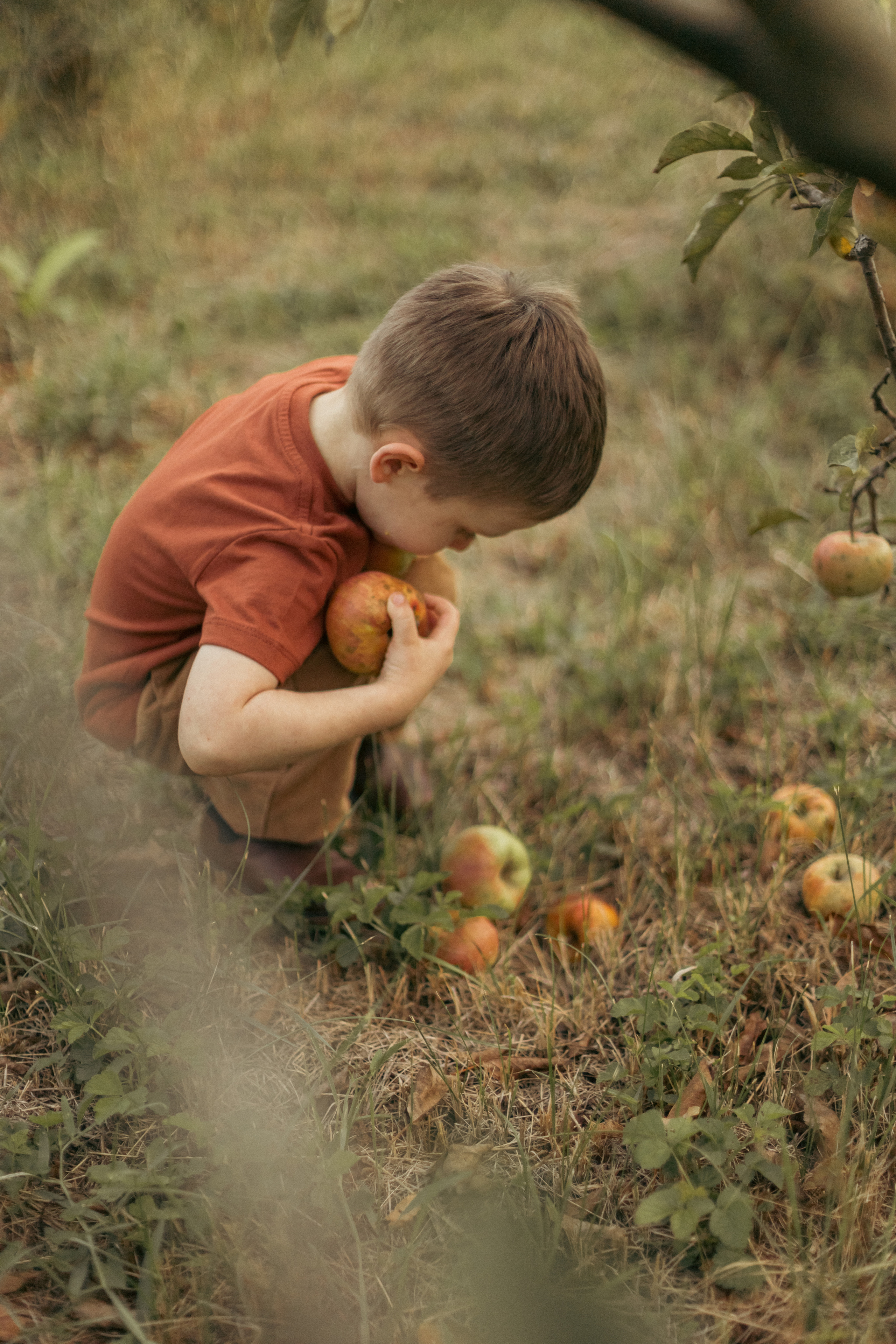 На ферме с овечками. Фотограф из Краснодара Мария Приходько