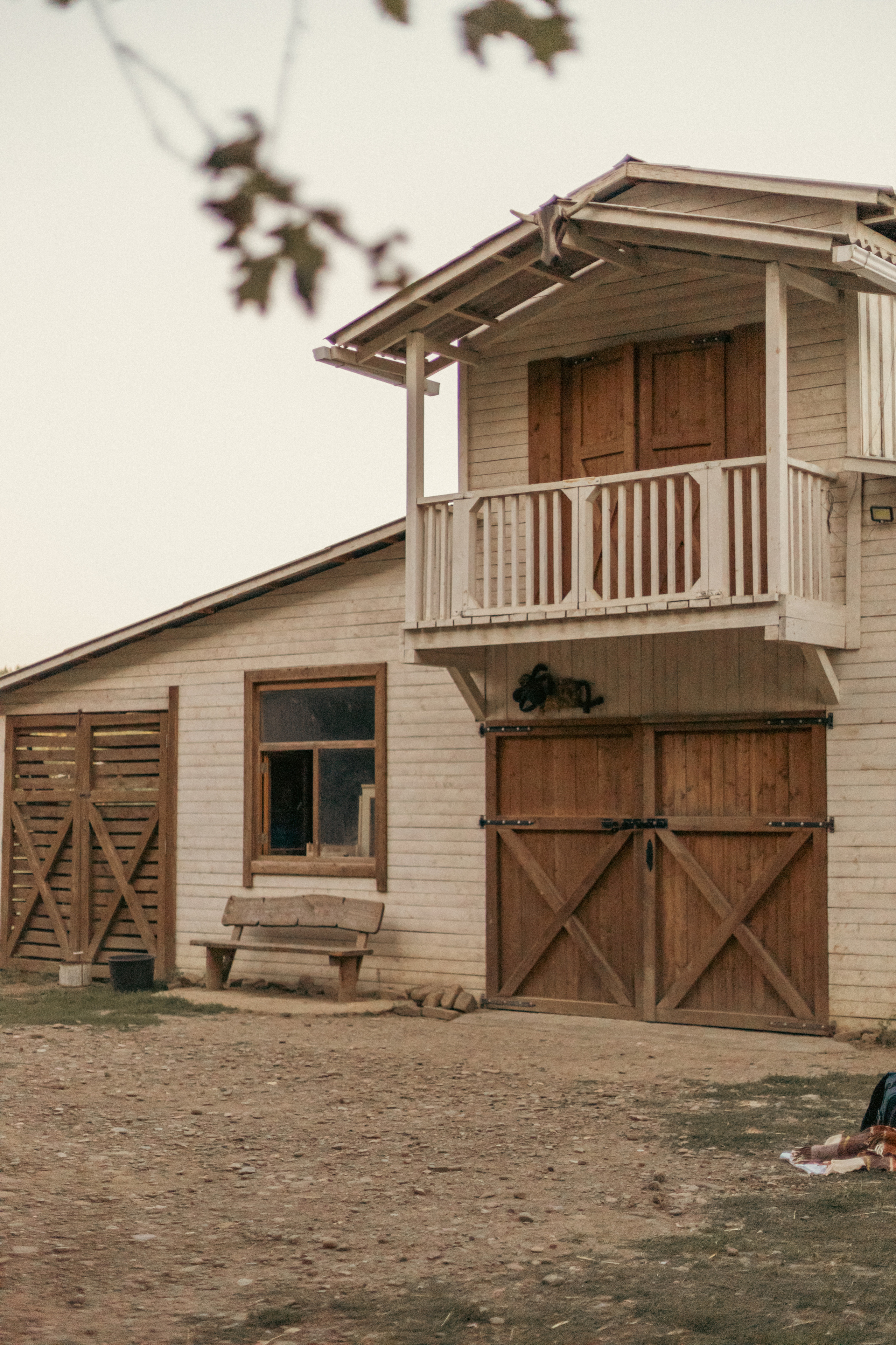 На ферме с овечками. Фотограф из Краснодара Мария Приходько