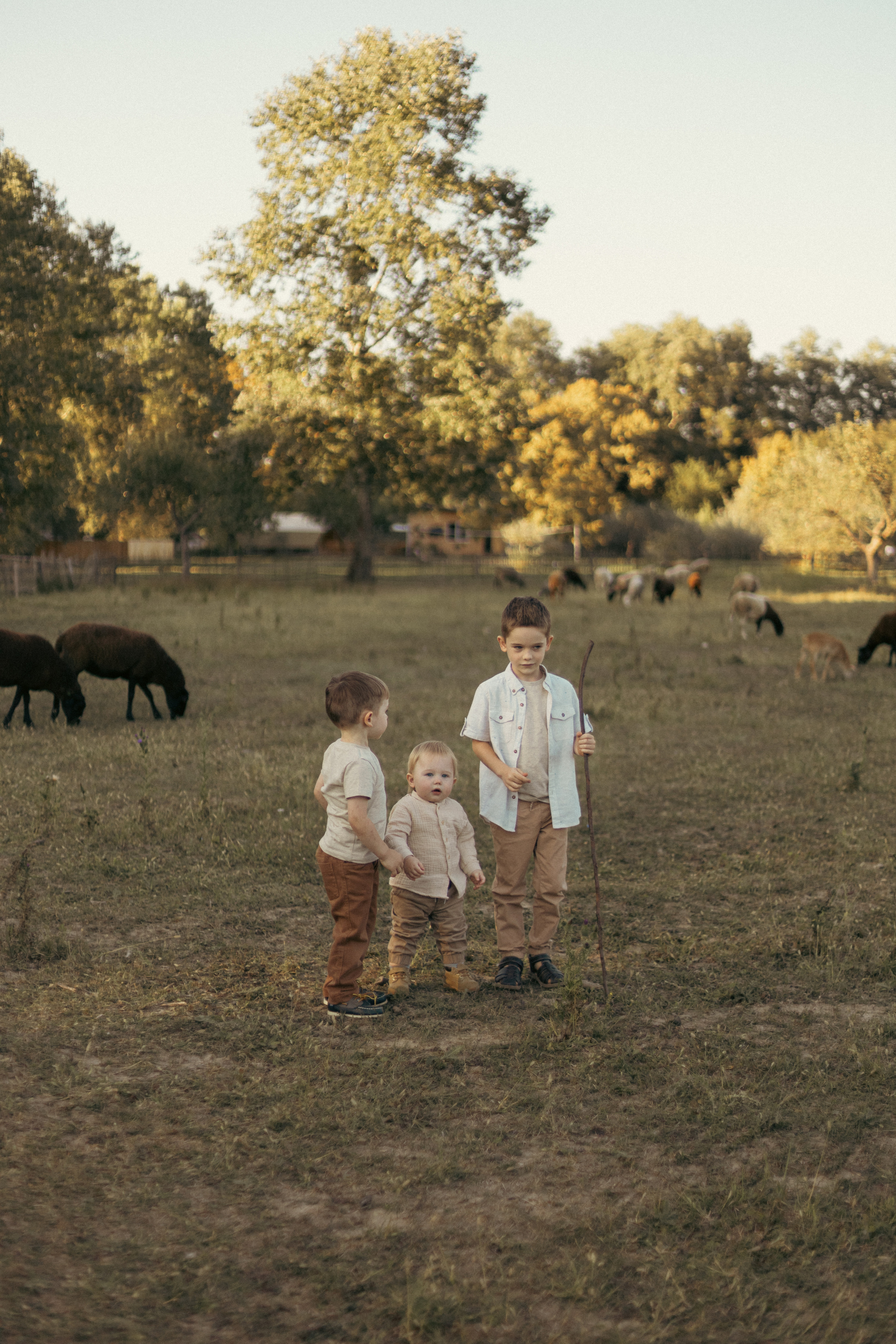 На ферме с овечками. Фотограф из Краснодара Мария Приходько
