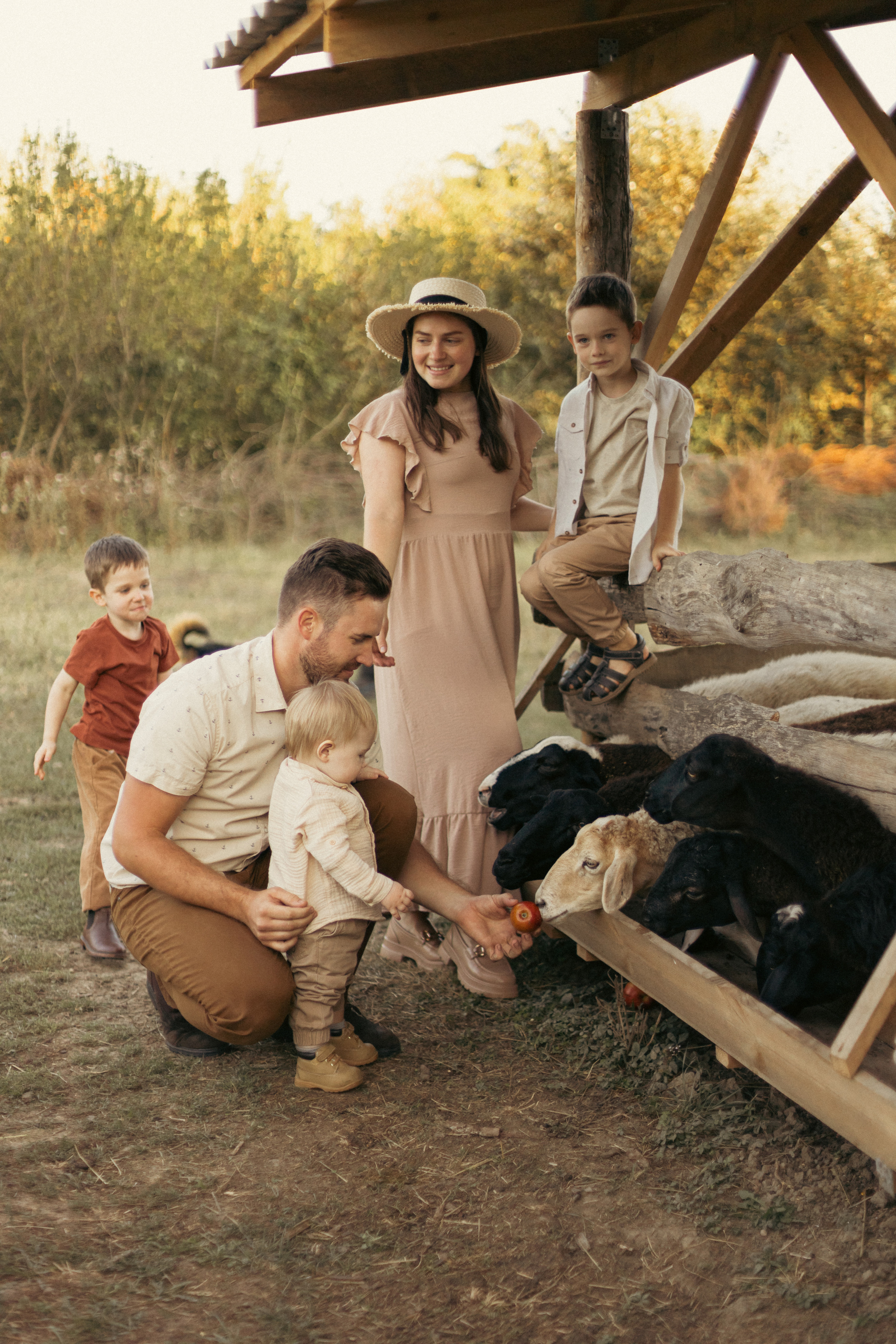 На ферме с овечками. Фотограф из Краснодара Мария Приходько