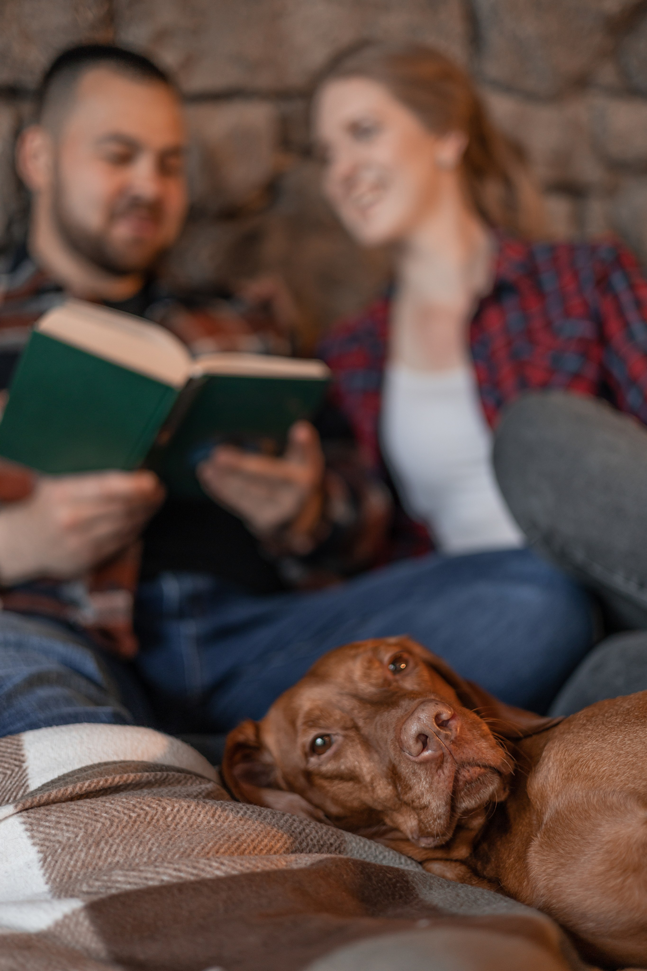 LoveStory Виктор и Мария. Фотограф, видеограф -Александр Антонян