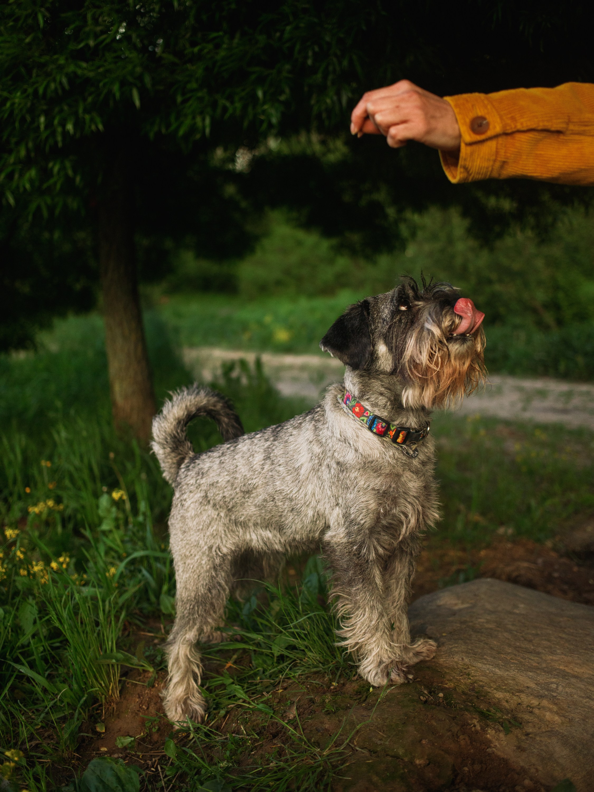 Ольга Ро и Иви. Портретный фотограф в Санкт-Петербурге Катя Протасевич