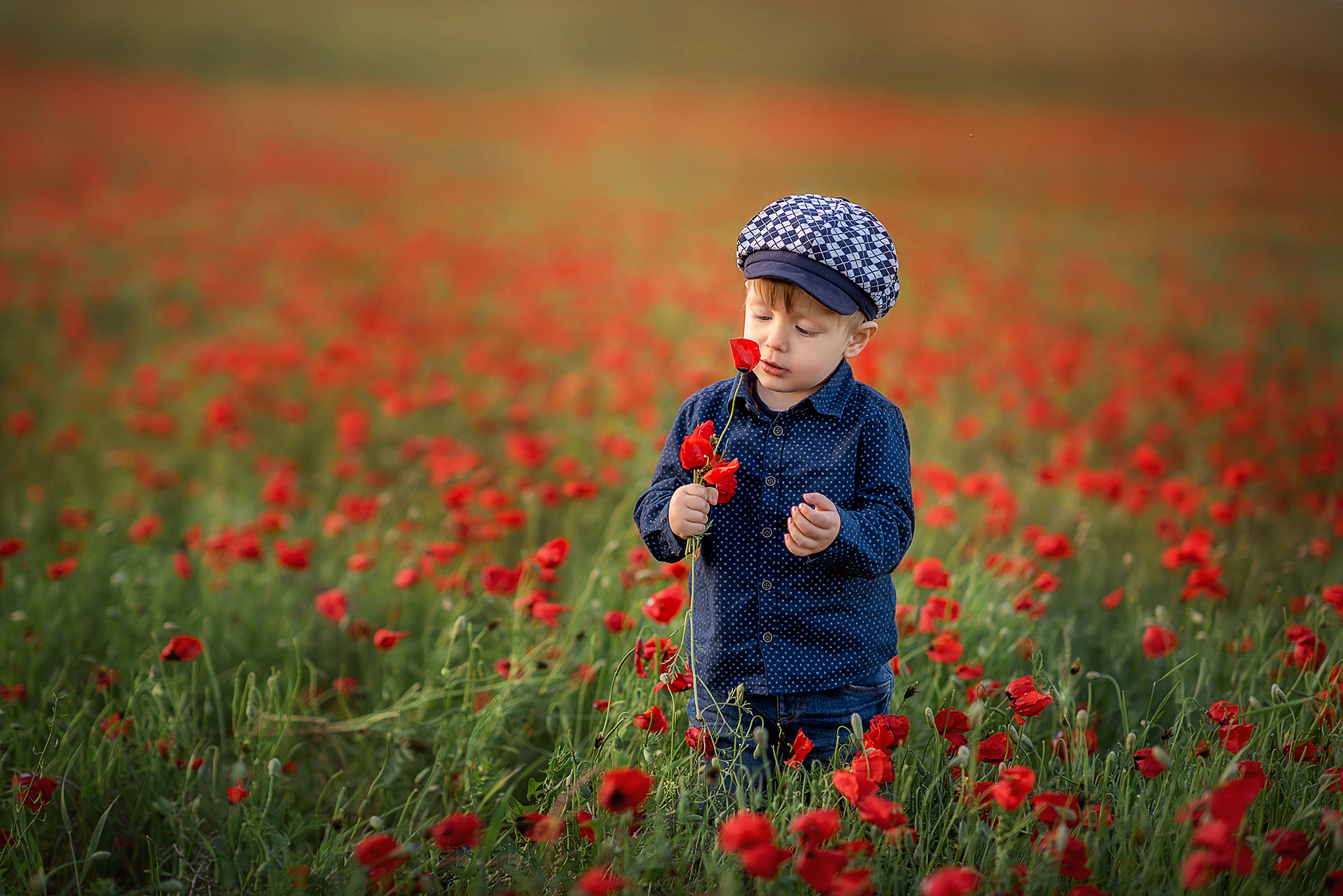 Семейная и детская фотография. Творческая команда Ульяшевы, свадебная и семейная фотография. Кахахста