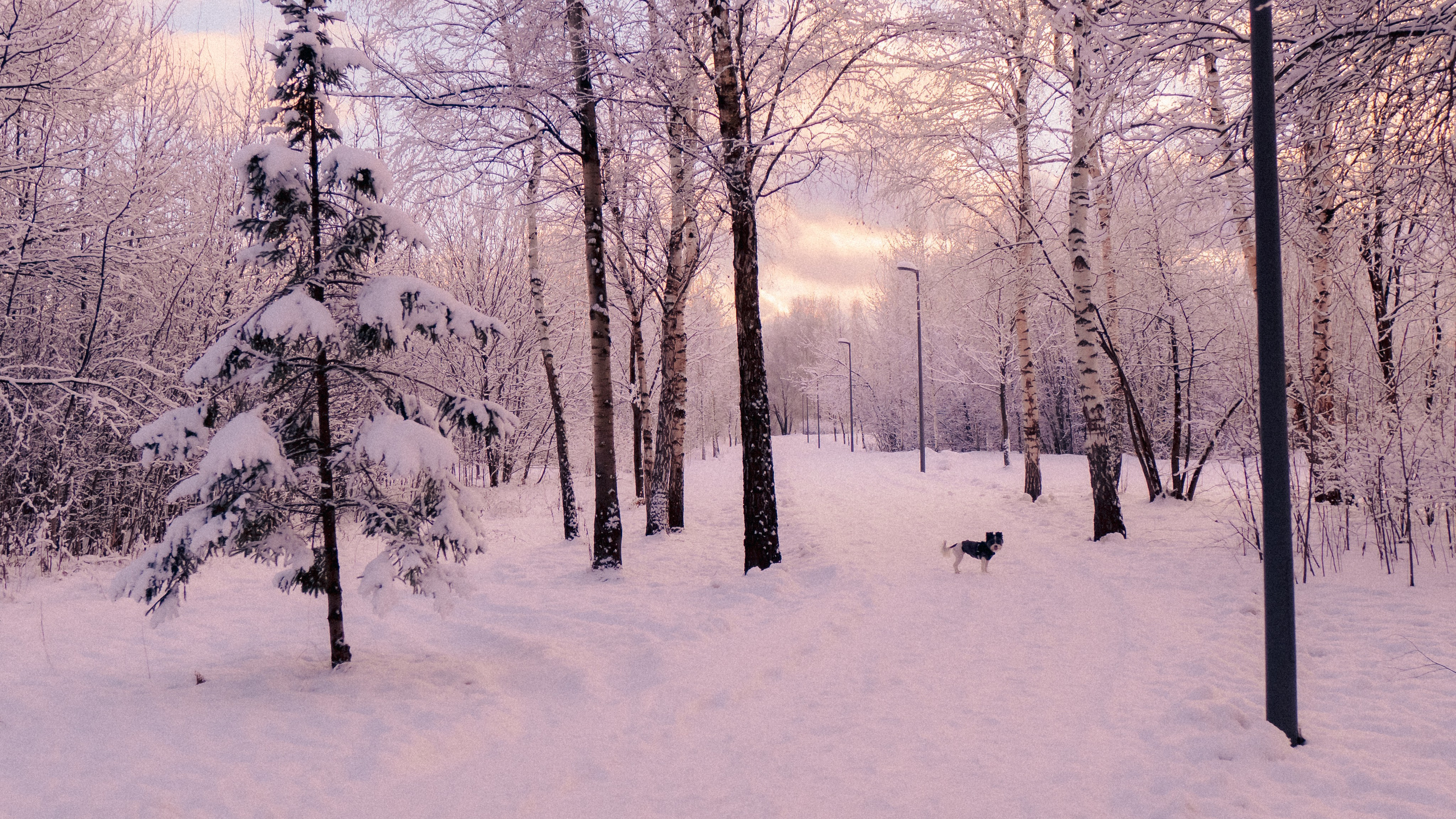 Зимняя сказка. Фёдор Малюгин. Ваш бади в визуале
