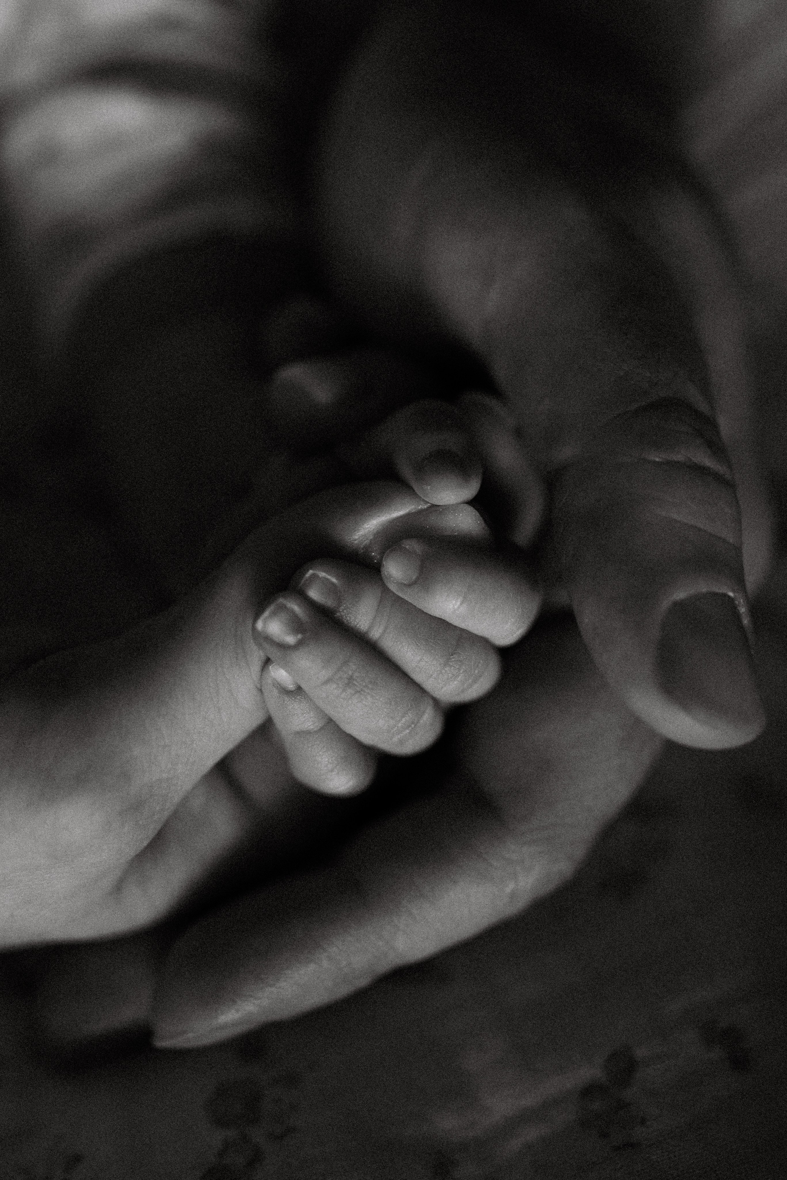 Фотограф Ксения Огородова портфолио