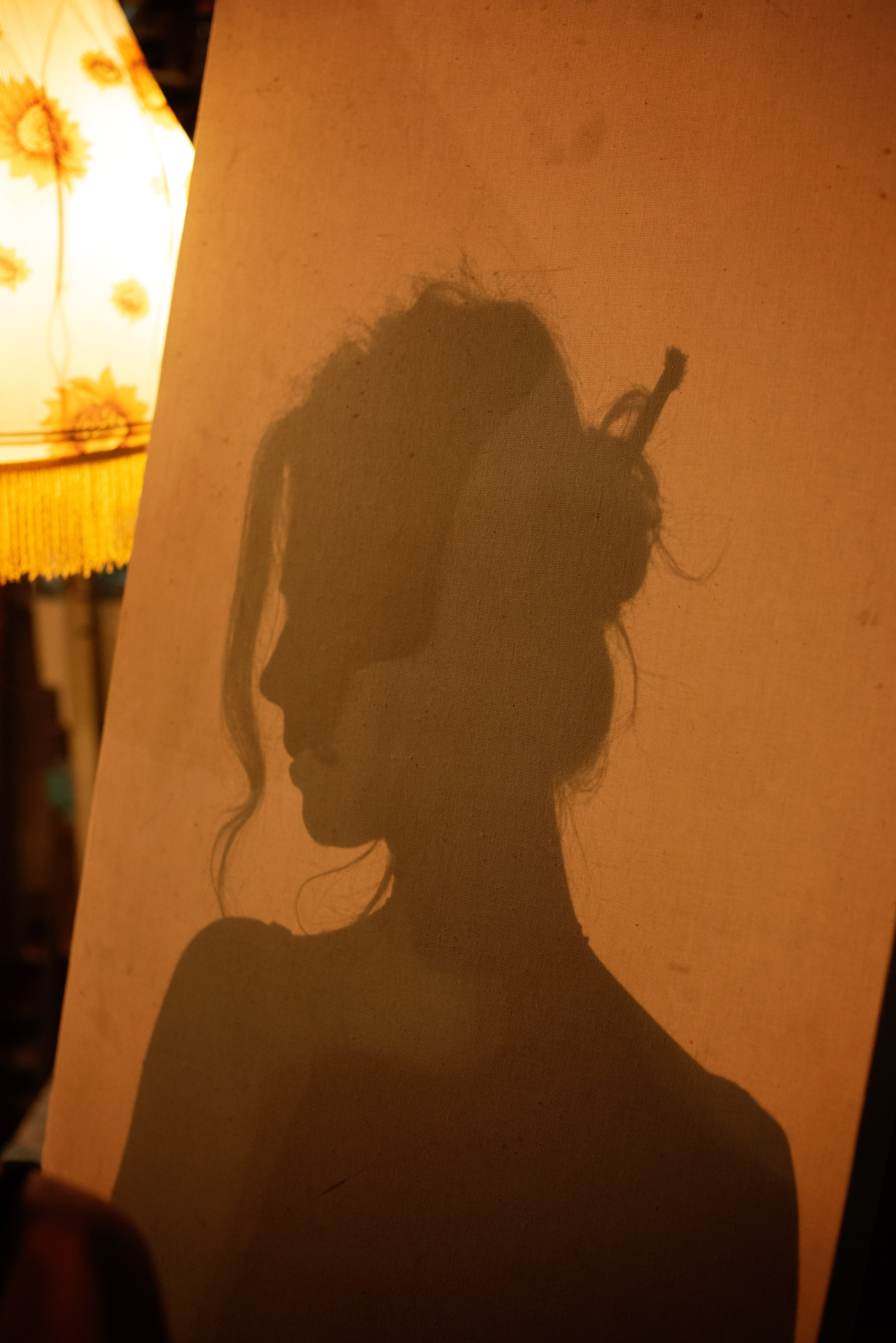 Проект ХУДОЖНИЦА. ФОТОПРОЕКТЫ