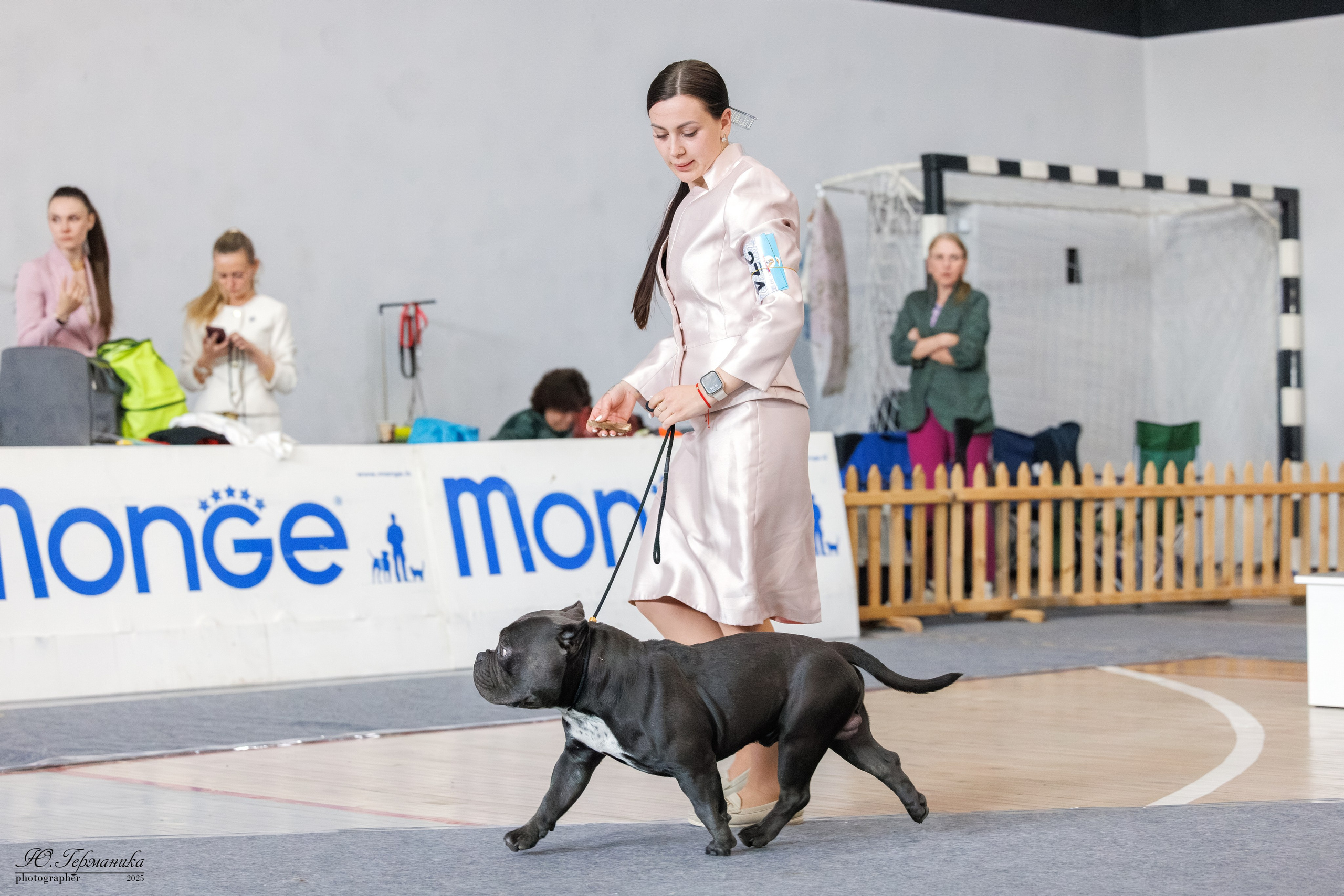 Ереван 2х CACIB 29-30.04.2025. Фотограф-анималист Юлия Германика