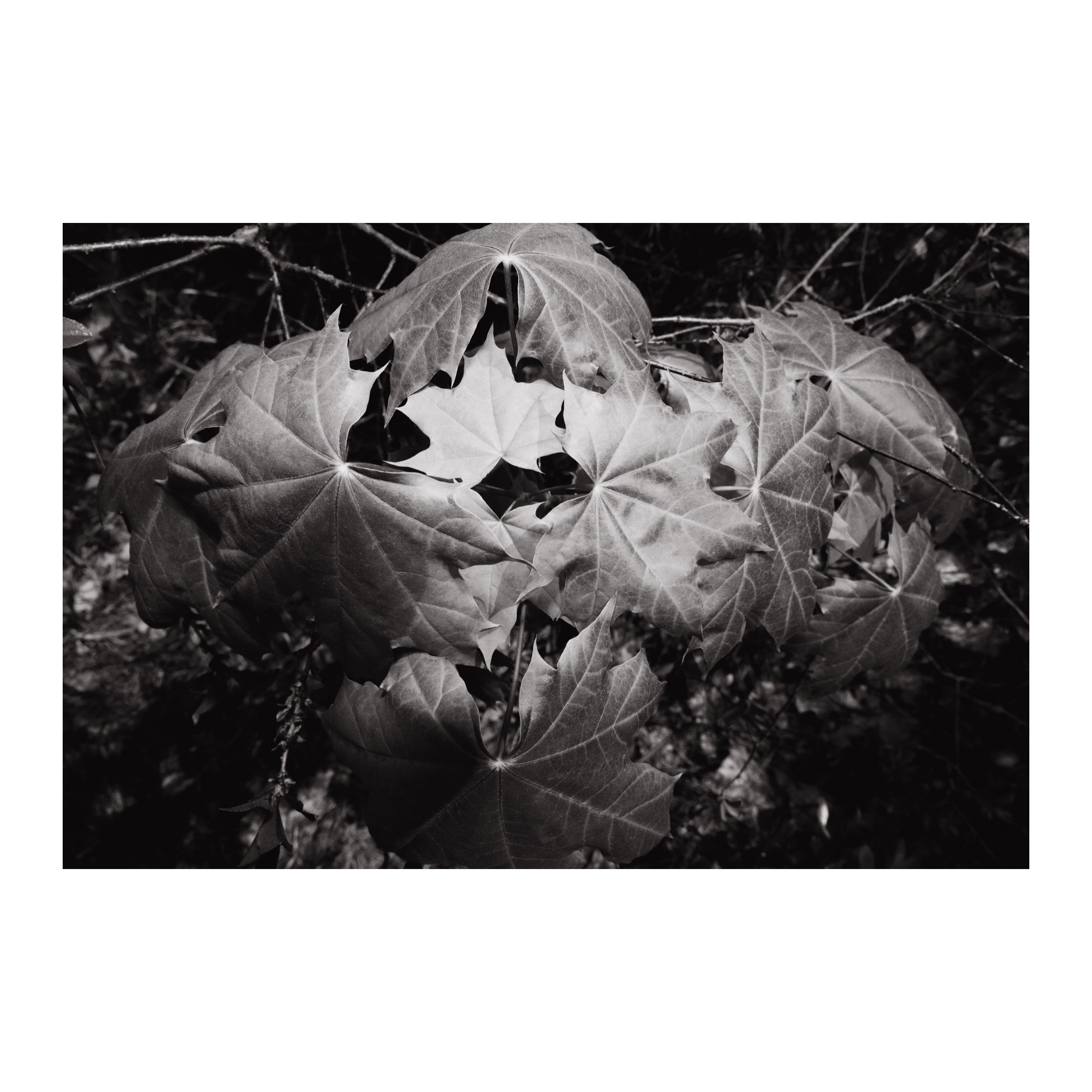 Творческие съемки. ТАТИ | Татьяна Тихонова | фотограф | Тольятти Самара