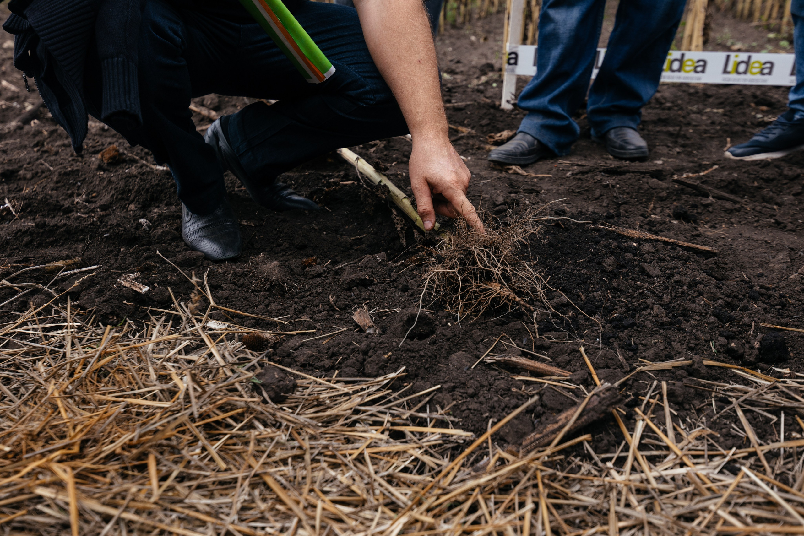 День поля. Фотограф Крохин Олег