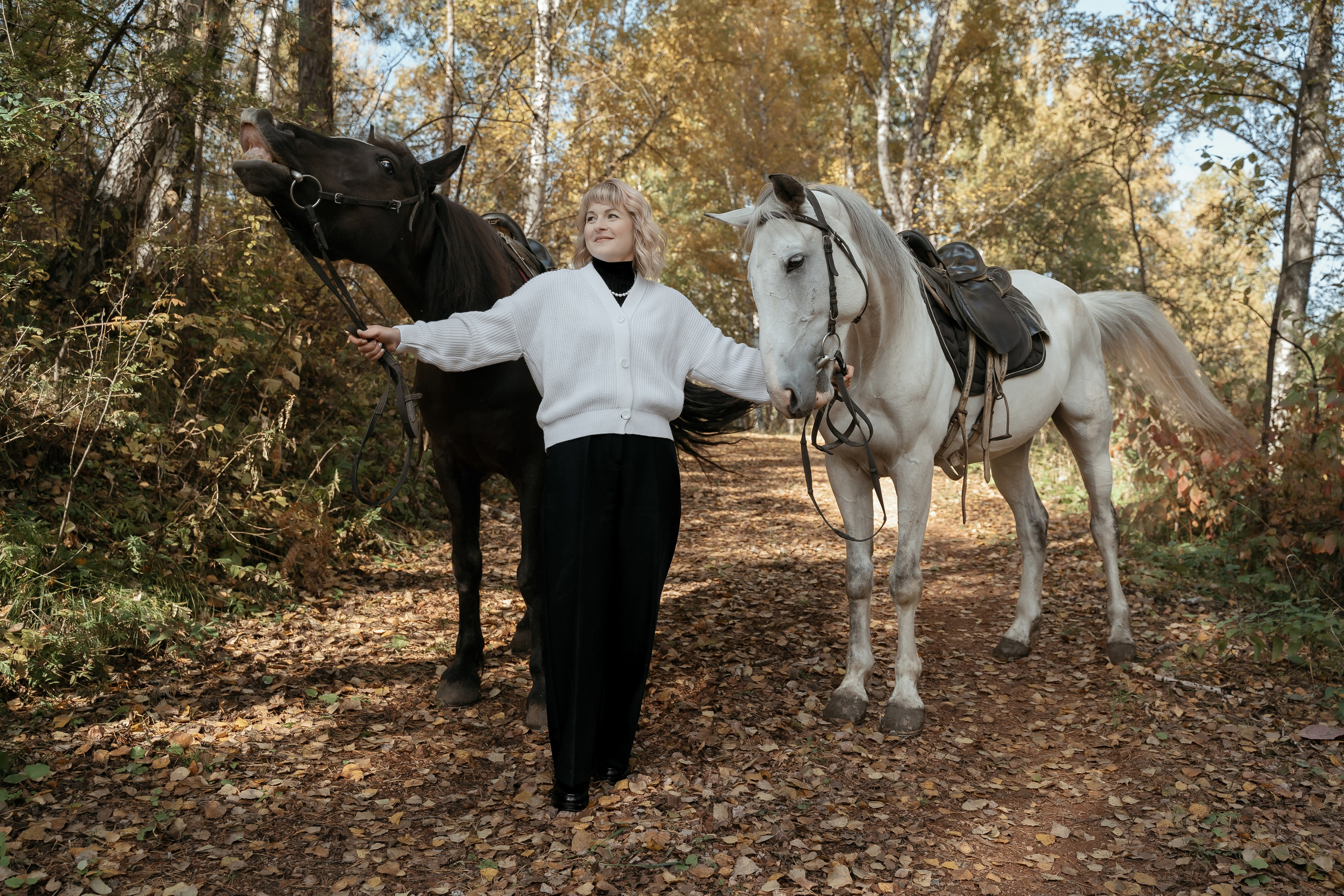На конном дворе. Фотограф Ким Наталья в Красноярске