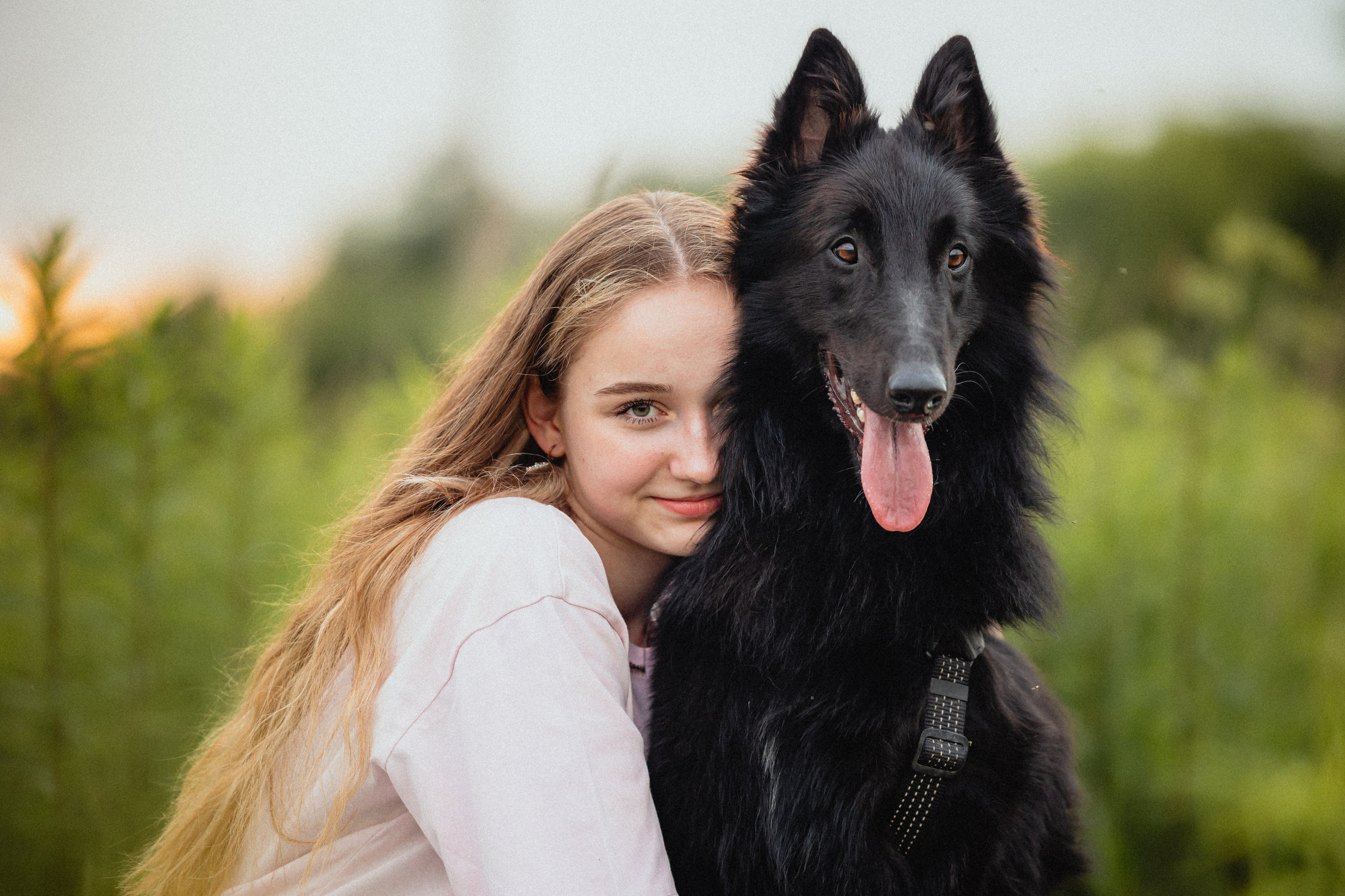 Выездной дог-тренинг от школы «Шерсть имею»