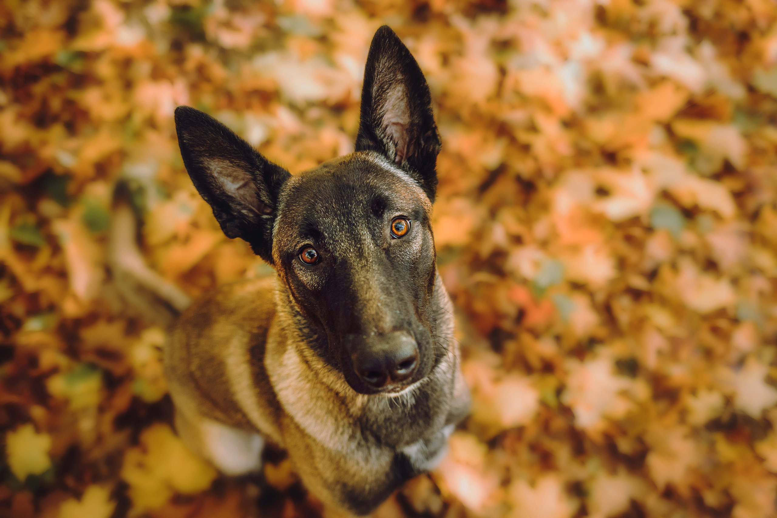 Никита и Ярик