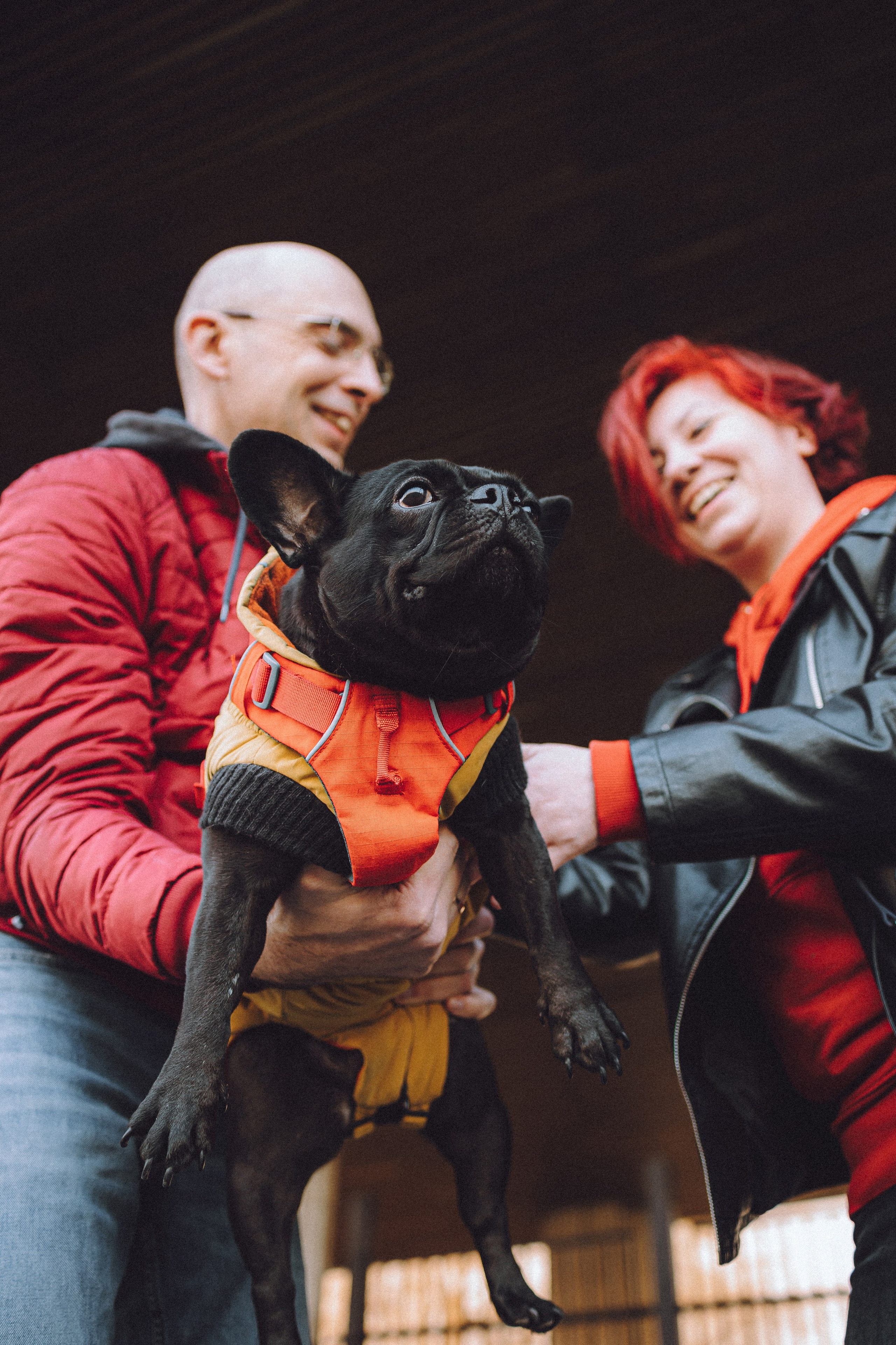 Саша, Дима и Шпуля