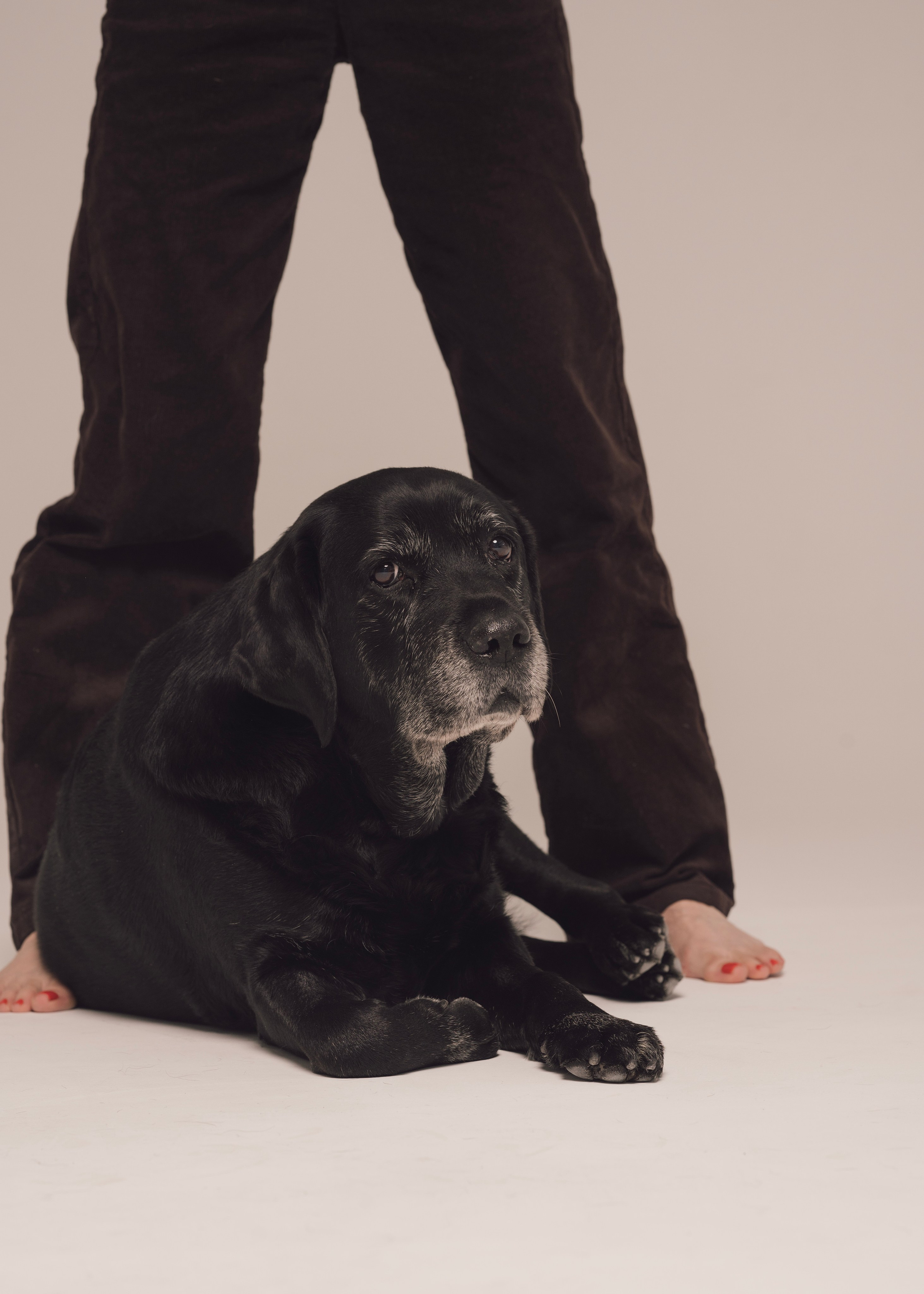 Бэста. Фотограф- анималист Александра Матвеева