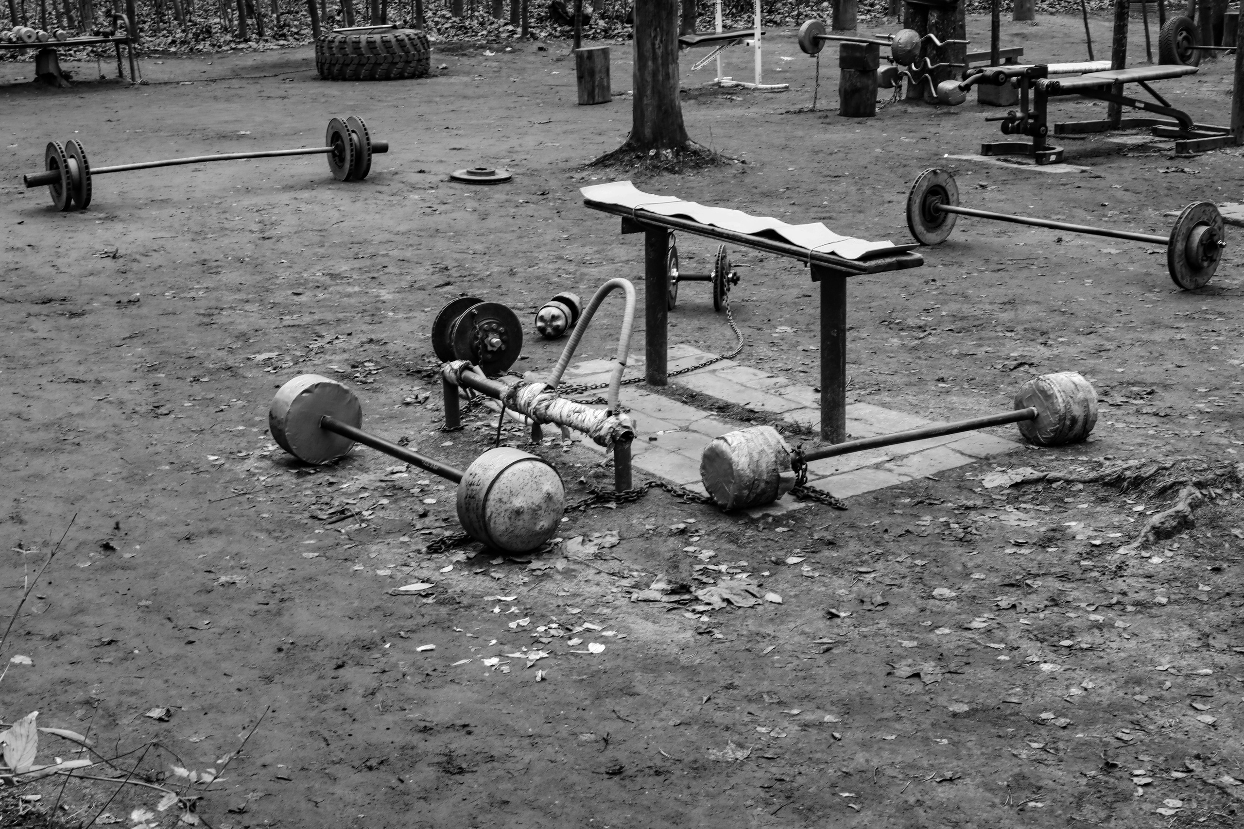 Качалка в лесу — 2022. Стас Привалов