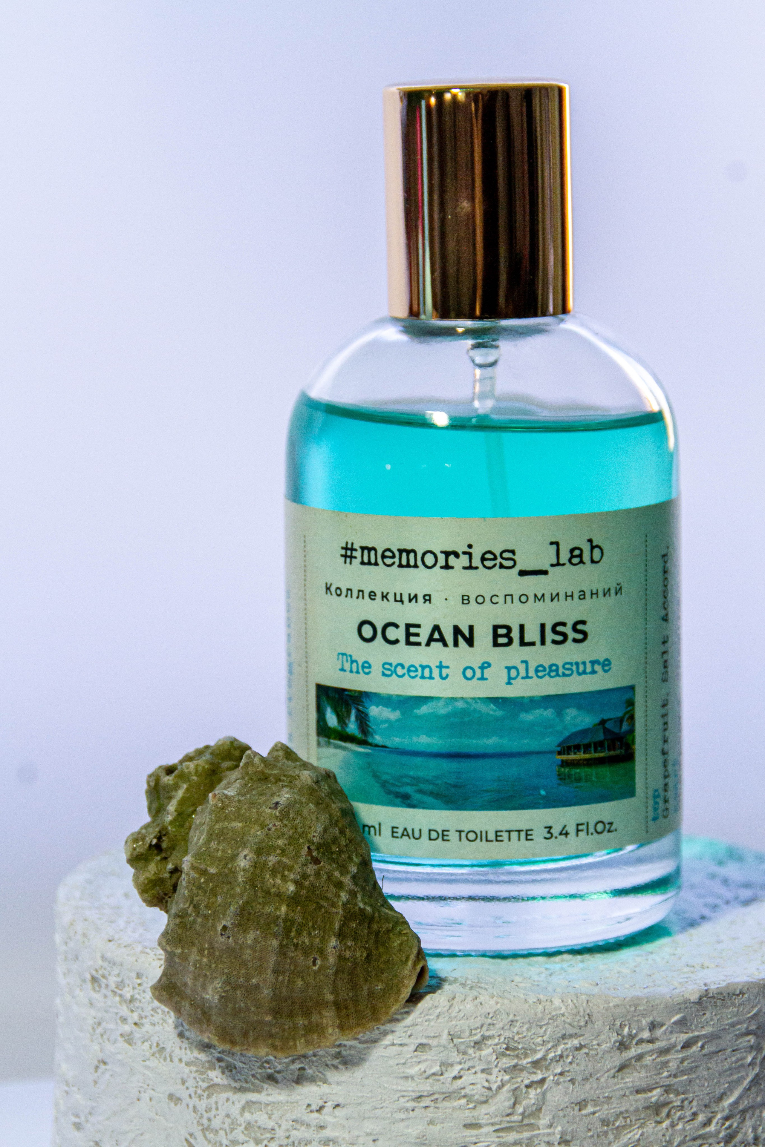 «Без названия»