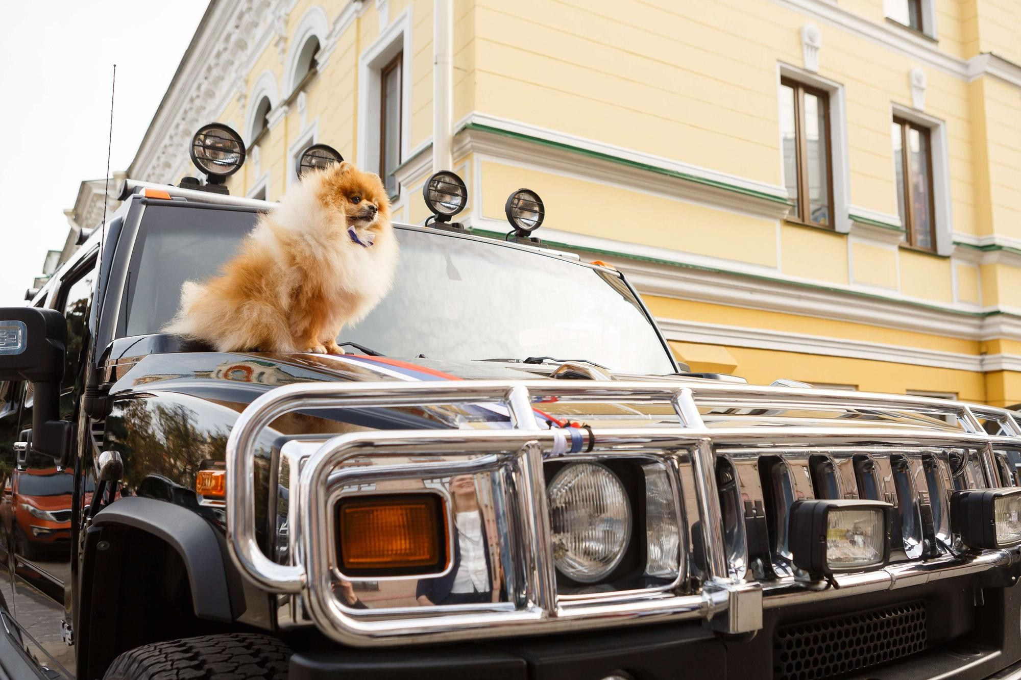 Авторская свадебная фотосъёмка. Свадебный фотограф в Нижнем Новгороде и Москве Сергей Воробьев