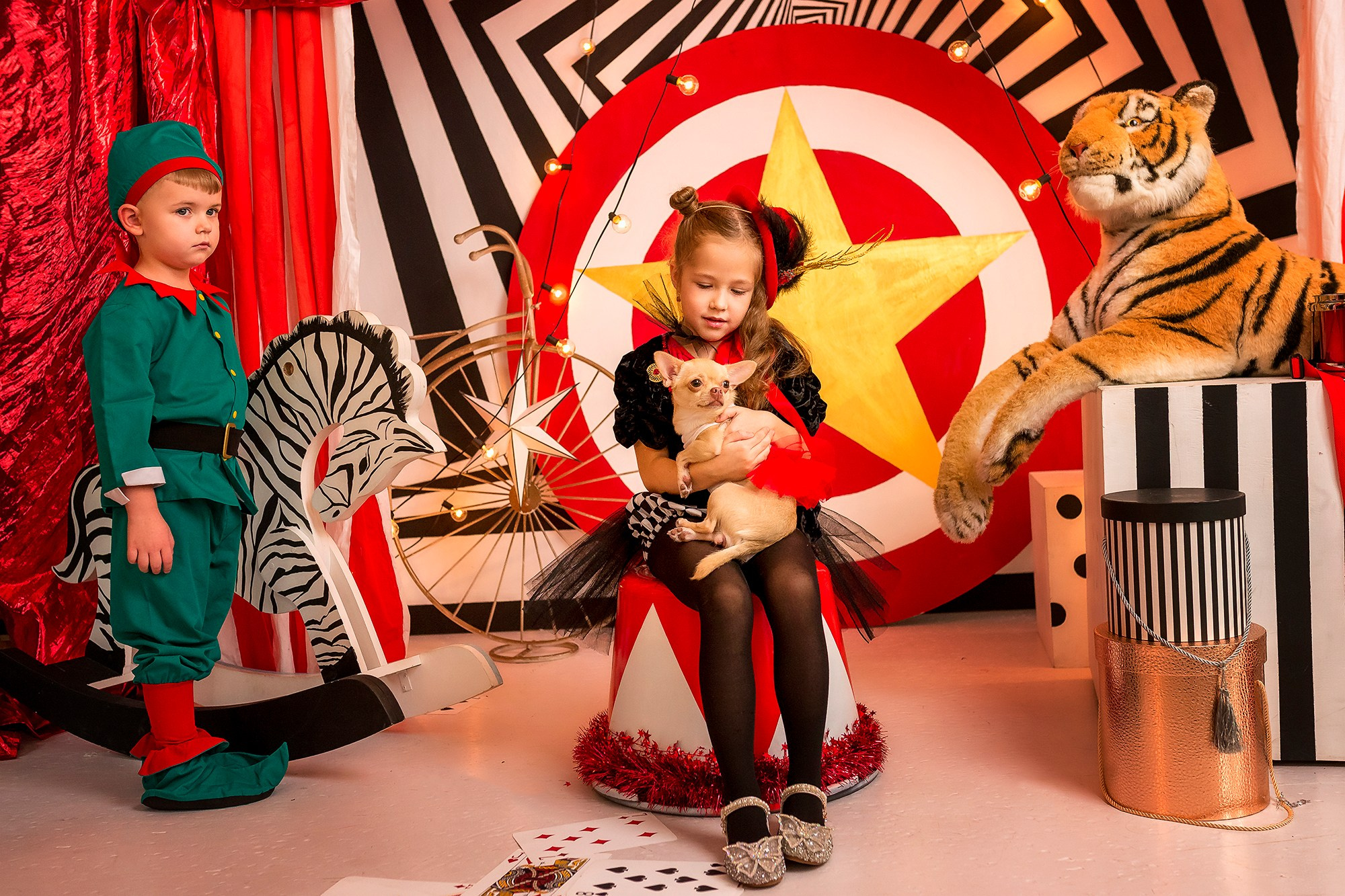 Цирк. Женский фотограф Крещение Венчание Москва Брянск