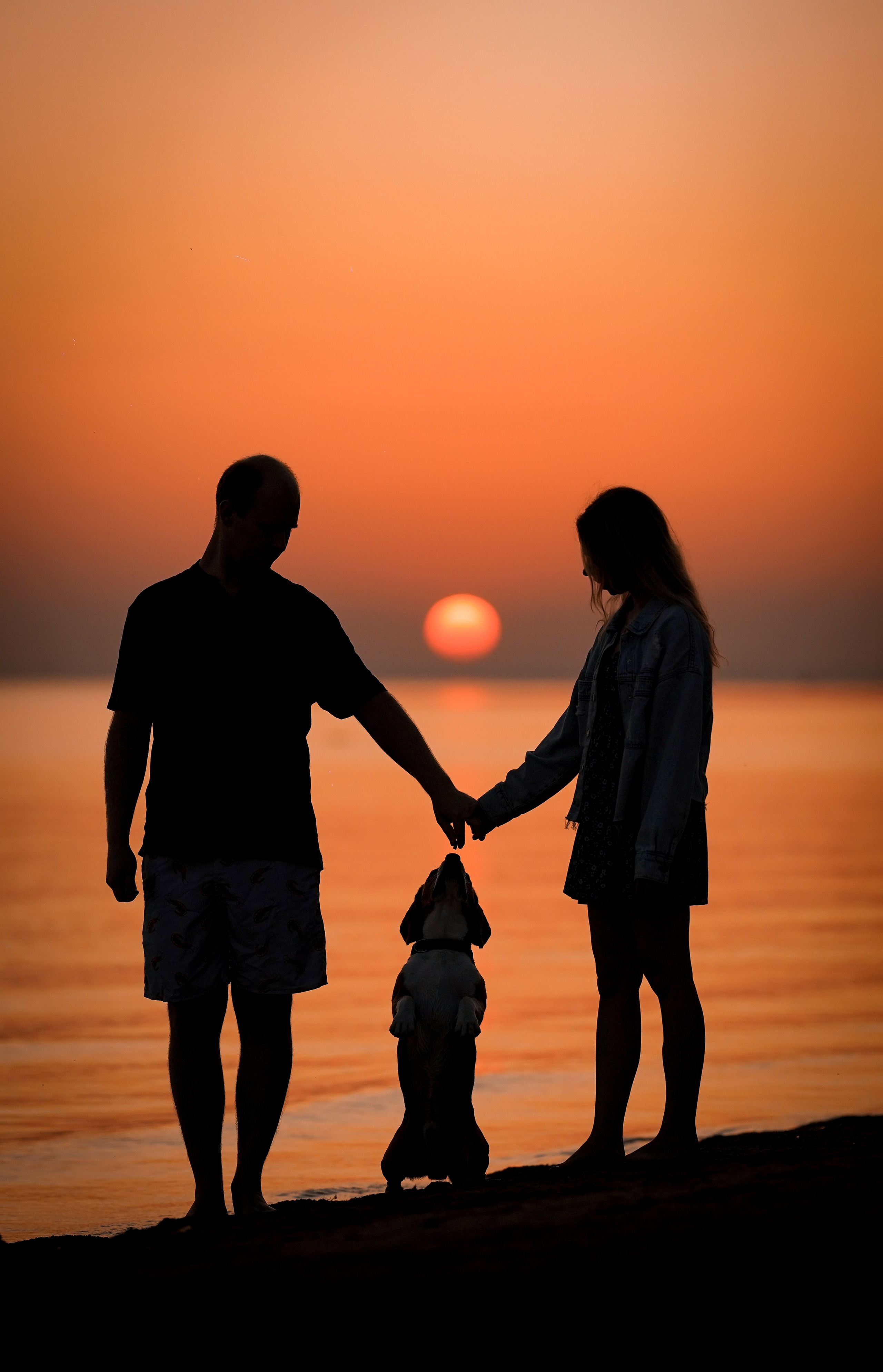 Оля Леша и Ричард. Фотограф-анималист в Санкт-Петербурге Яна Мартынова