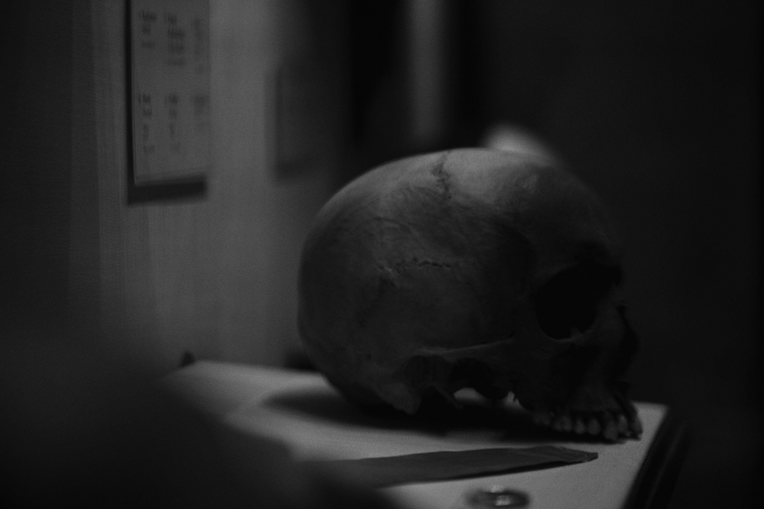 Archaeological Museum / Istanbul, Türkey SS25. Фотограф Юрин Евгений